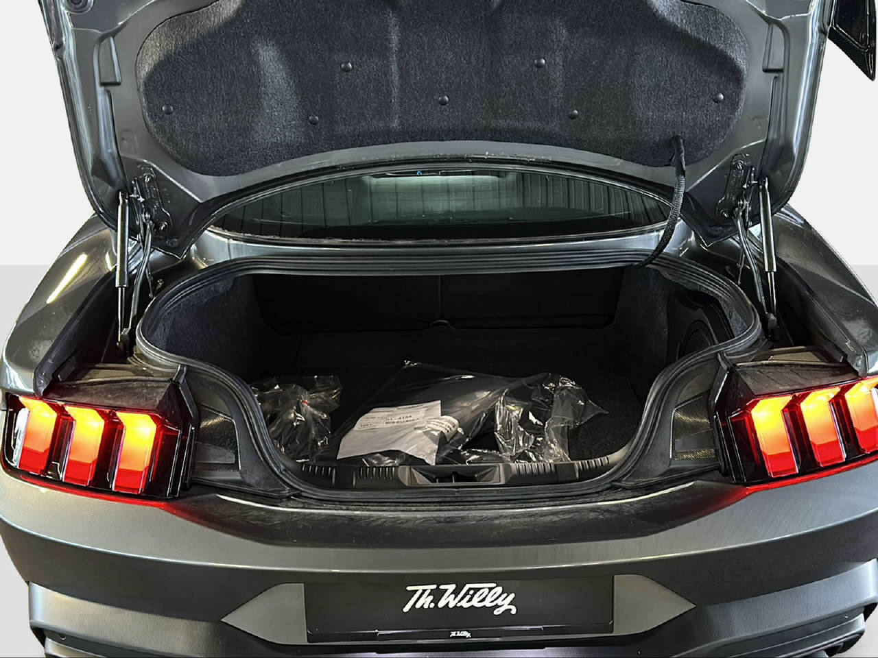 FORD Mustang Coupé 5.0 V8 Dark Horse-image-13