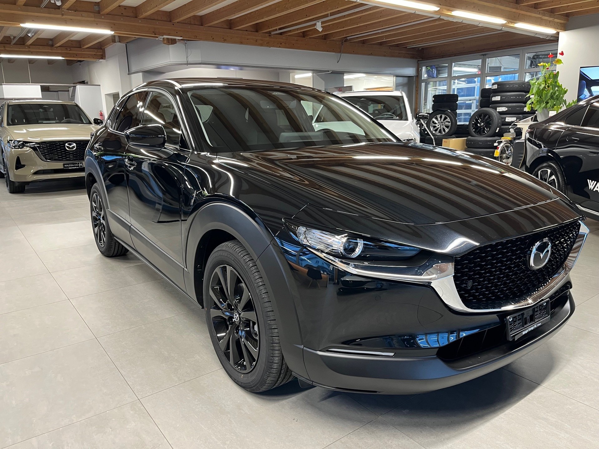 MAZDA CX-30 SKYACTIV-X 186 M Hybrid Homura AWD AT-image-2