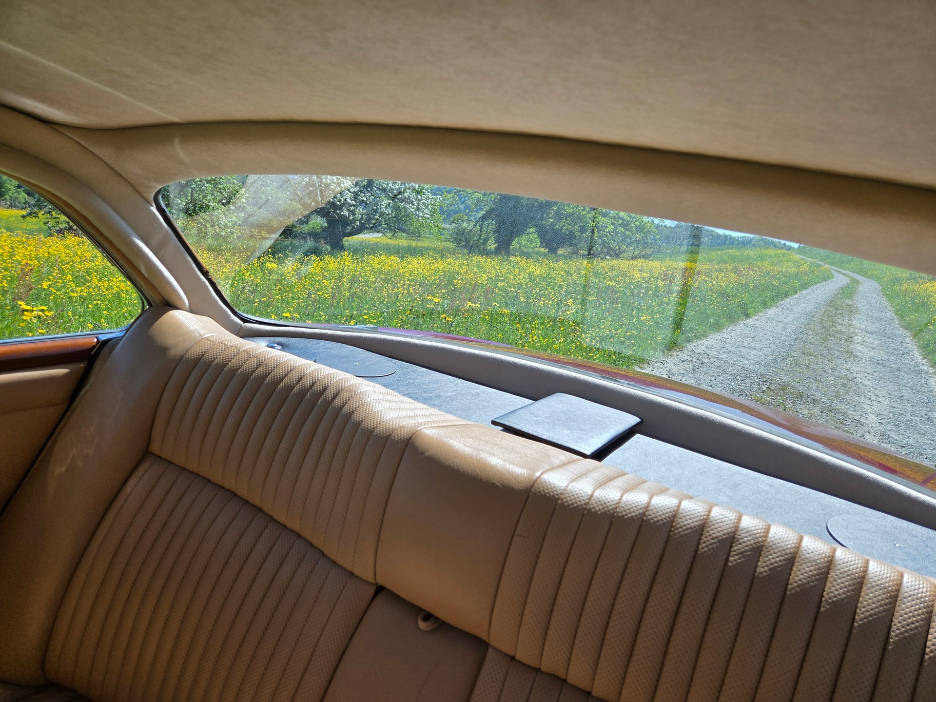 JAGUAR XJ12 Serie 1-image-6