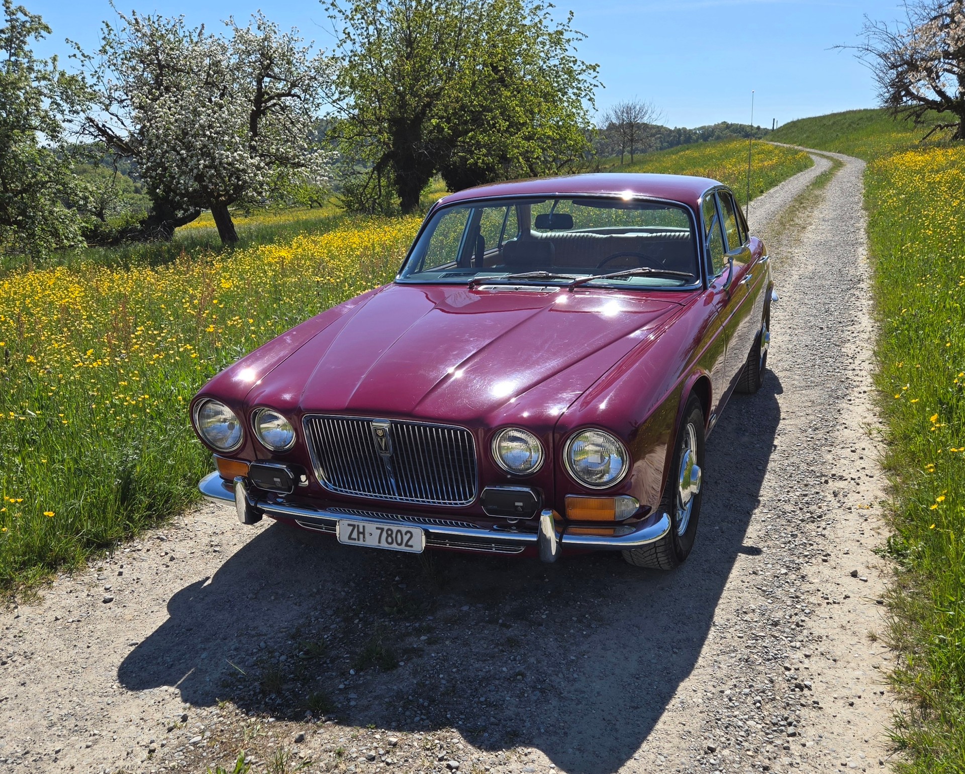 JAGUAR XJ12 Serie 1