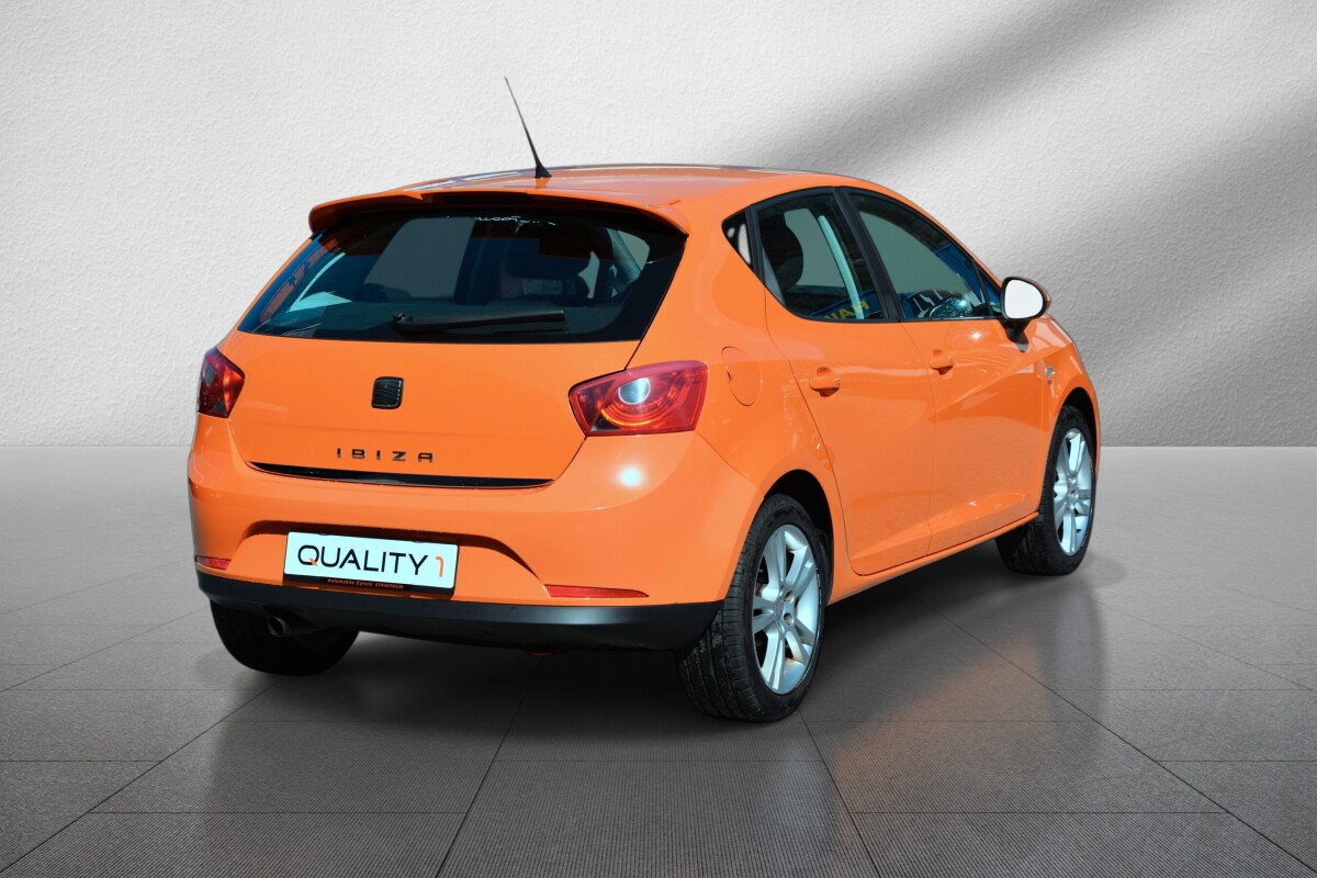 SEAT Ibiza 1.9 TDI Sport Frisch ab MFK-image-6