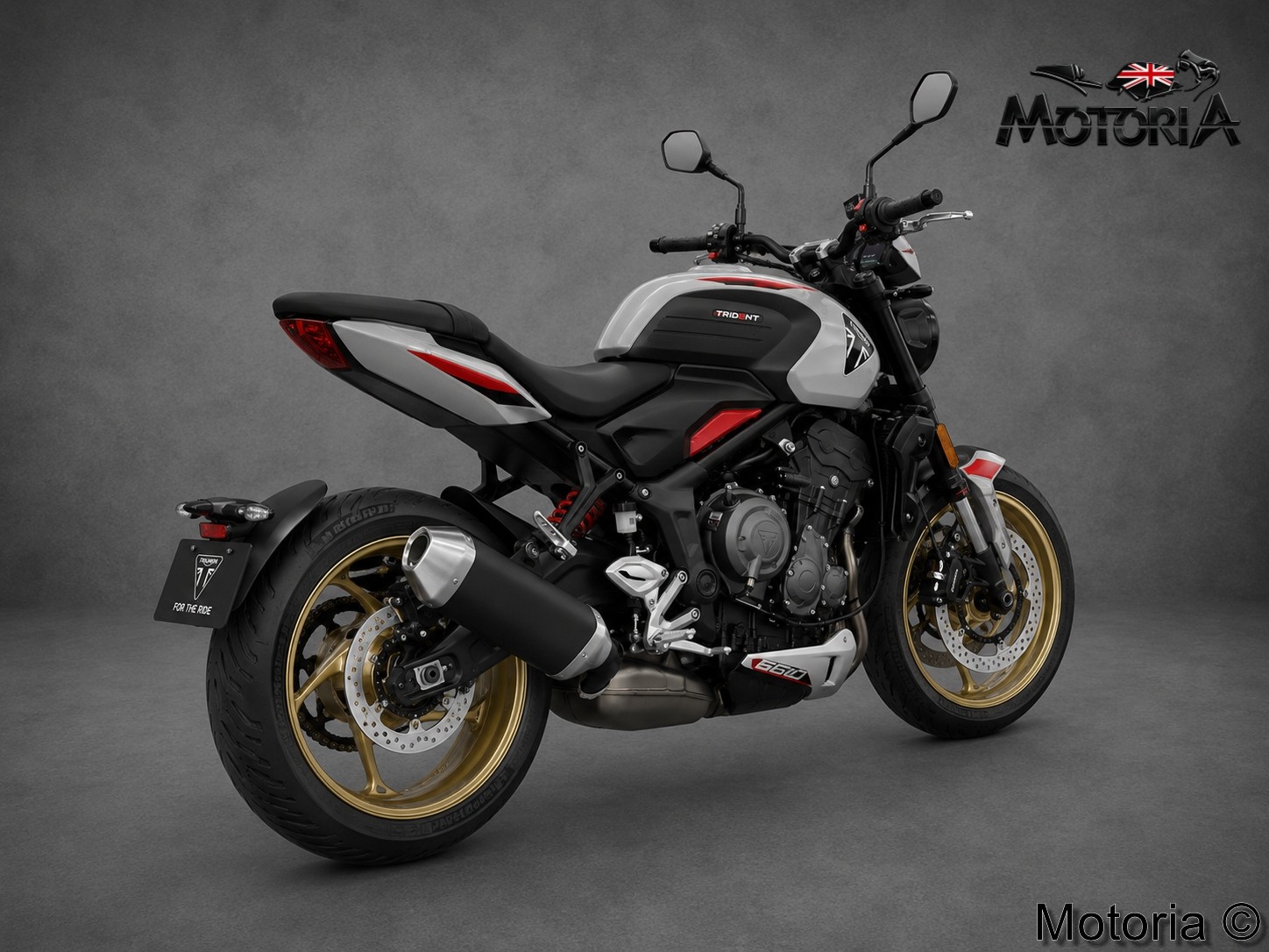 TRIUMPH Trident 800-image-3
