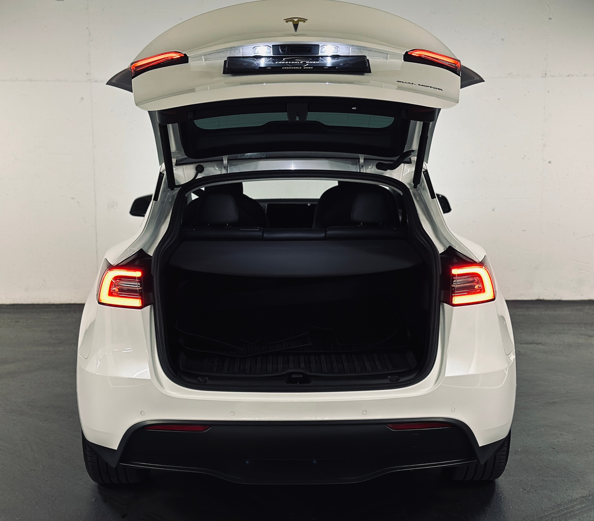 TESLA Model Y Long Range AWD-image-6