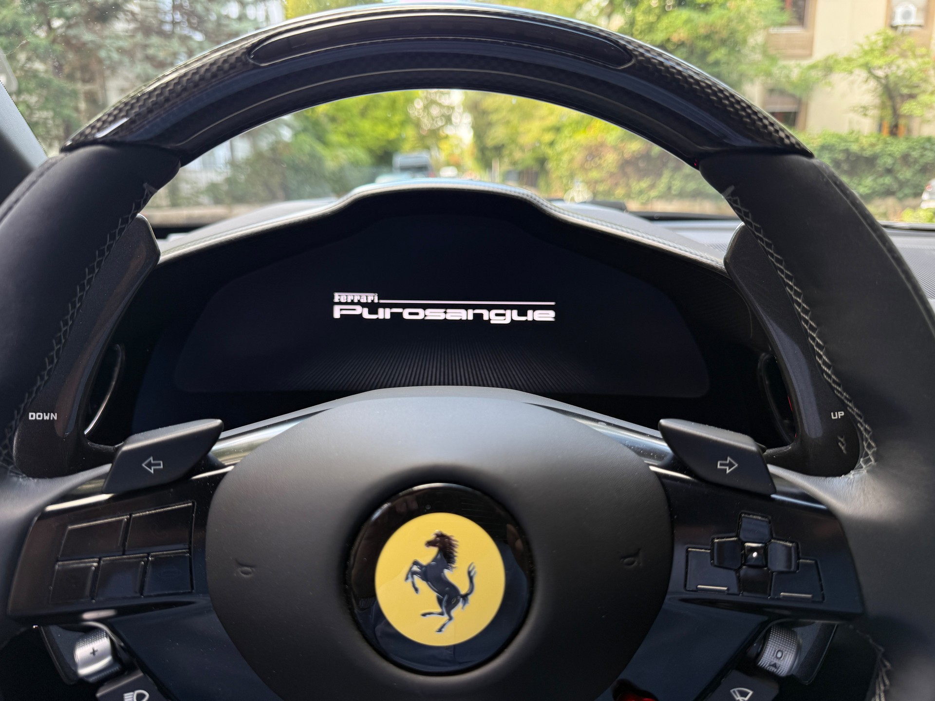 FERRARI Purosangue 6.5 V12-image-8