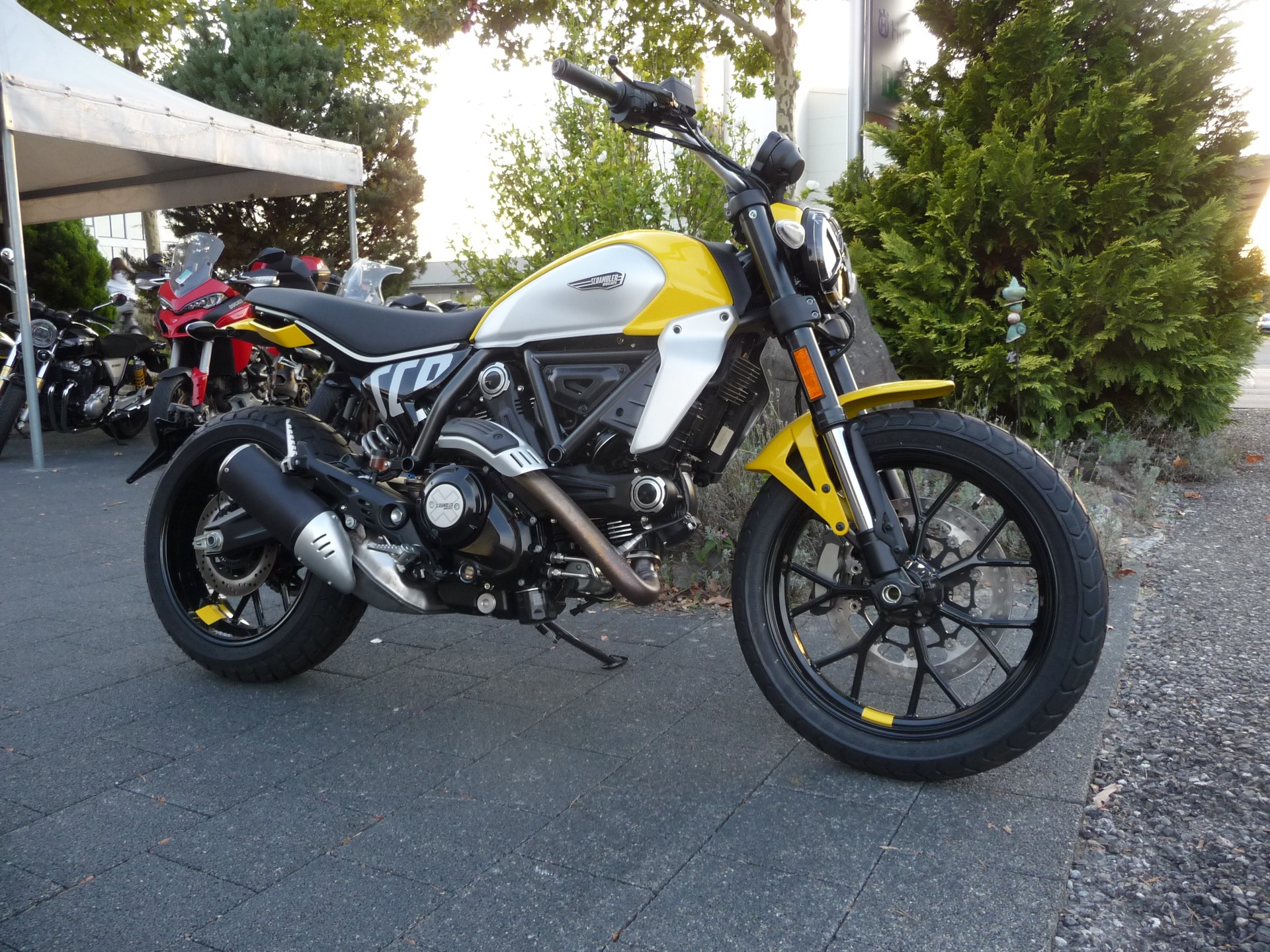 DUCATI Scrambler 803 Icon-image-1