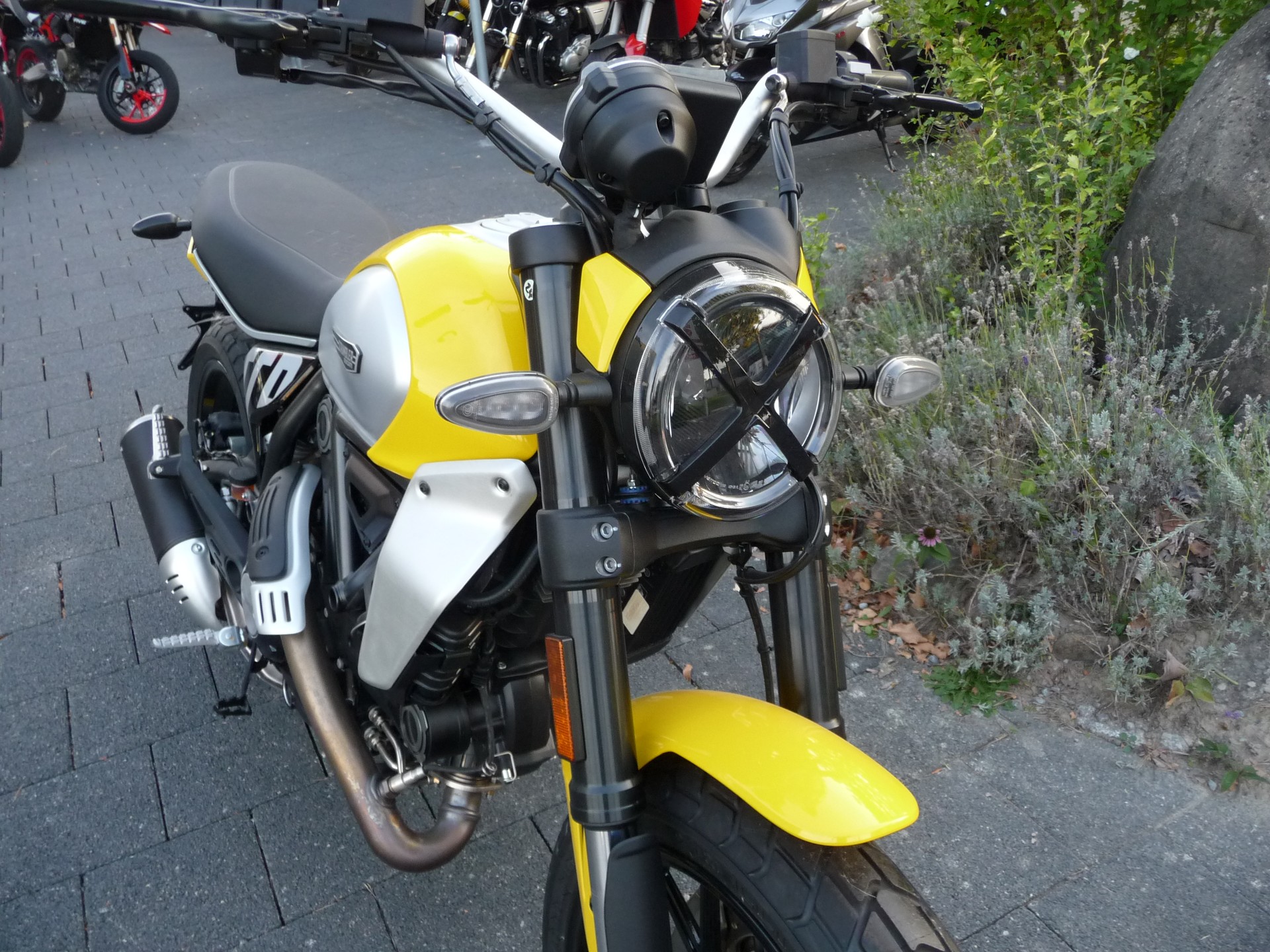 DUCATI Scrambler 803 Icon-image-2