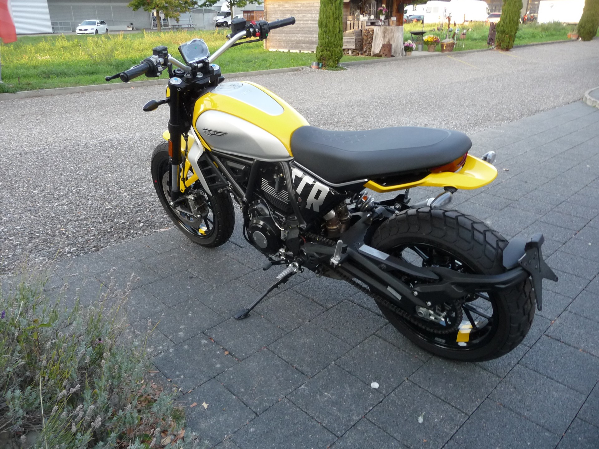 DUCATI Scrambler 803 Icon-image-4