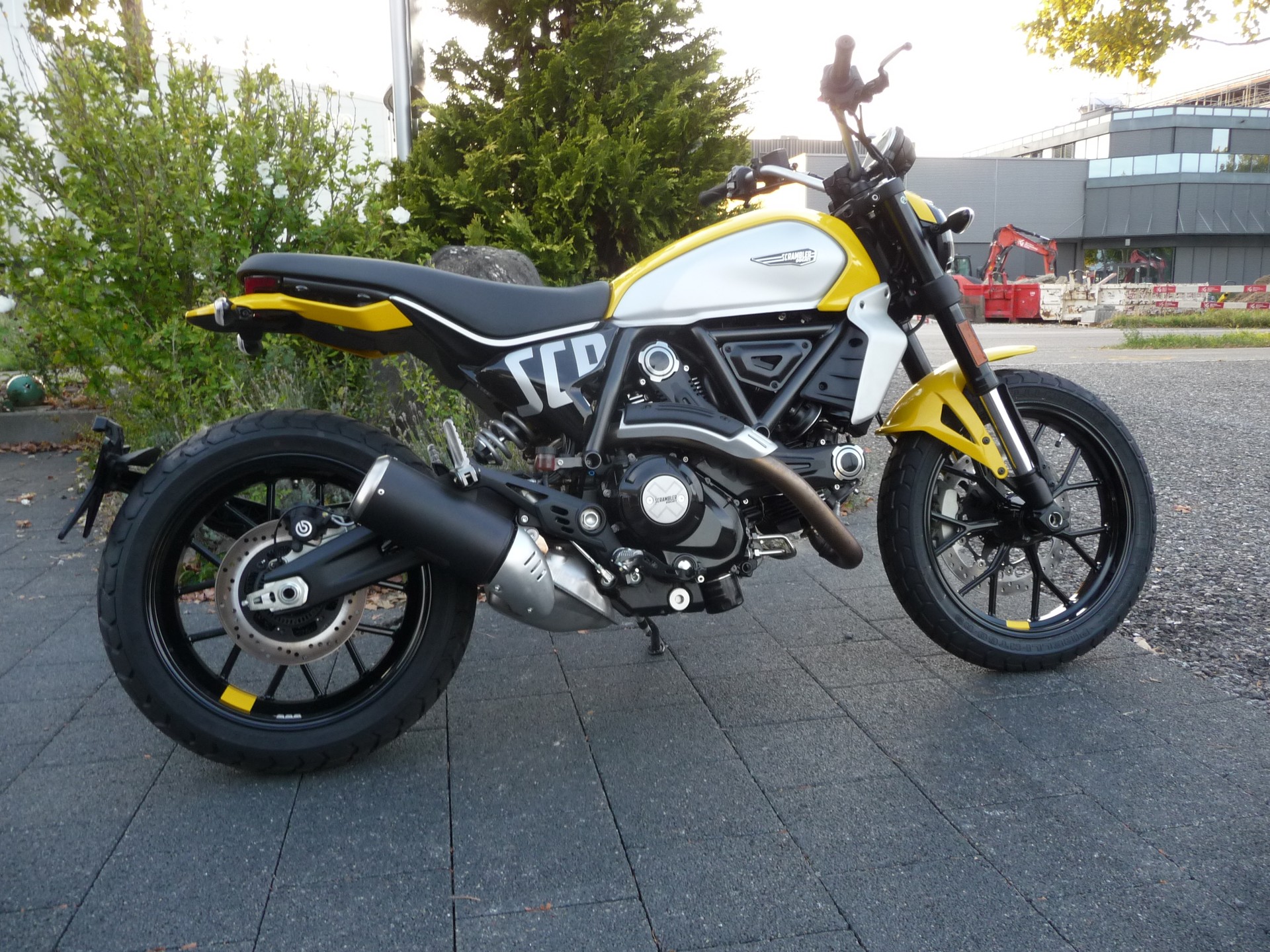 DUCATI Scrambler 803 Icon-image-0