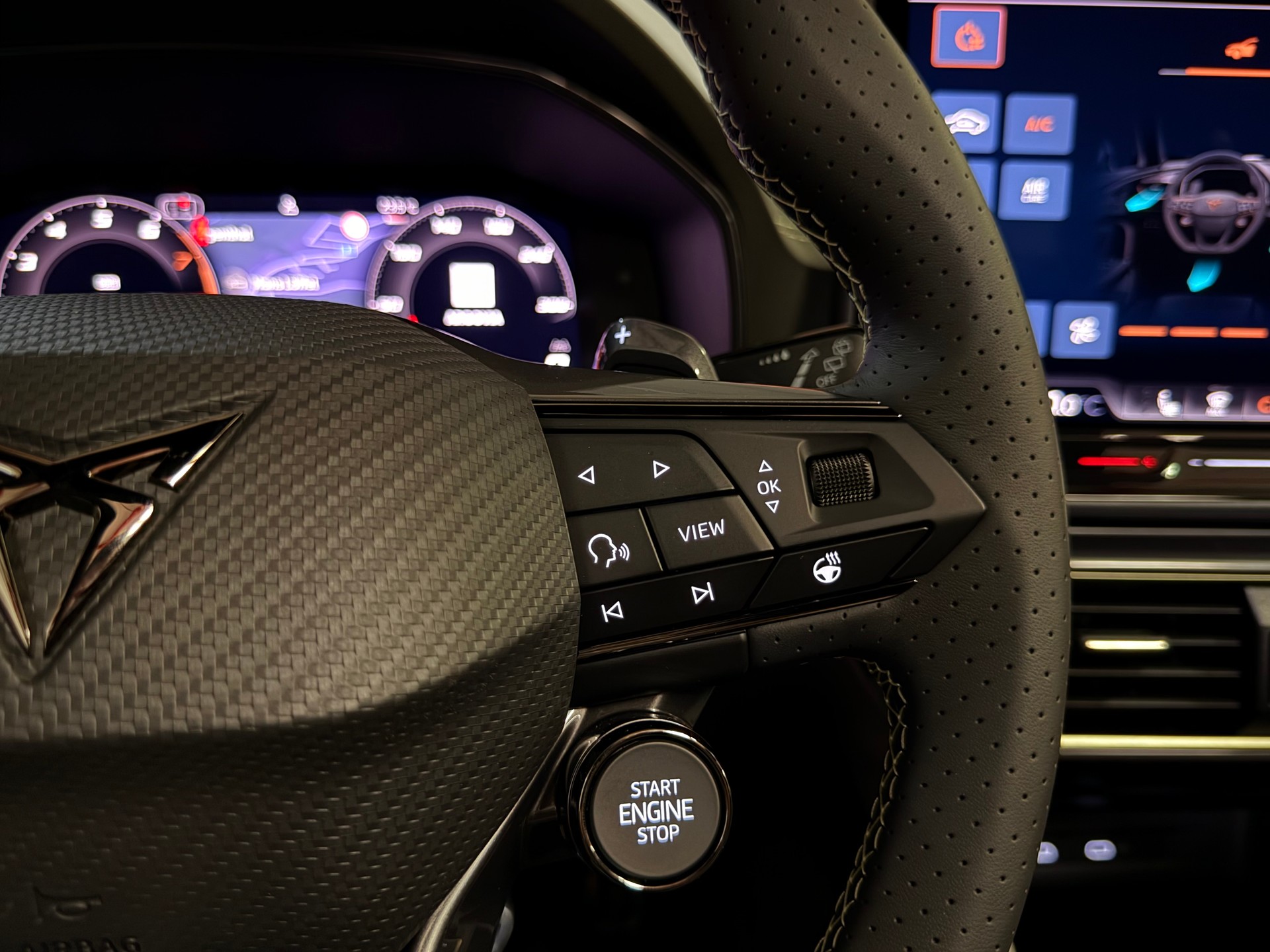 CUPRA Formentor 2.0TSI VZ 4Drive DSG Tribe Edition-image-34