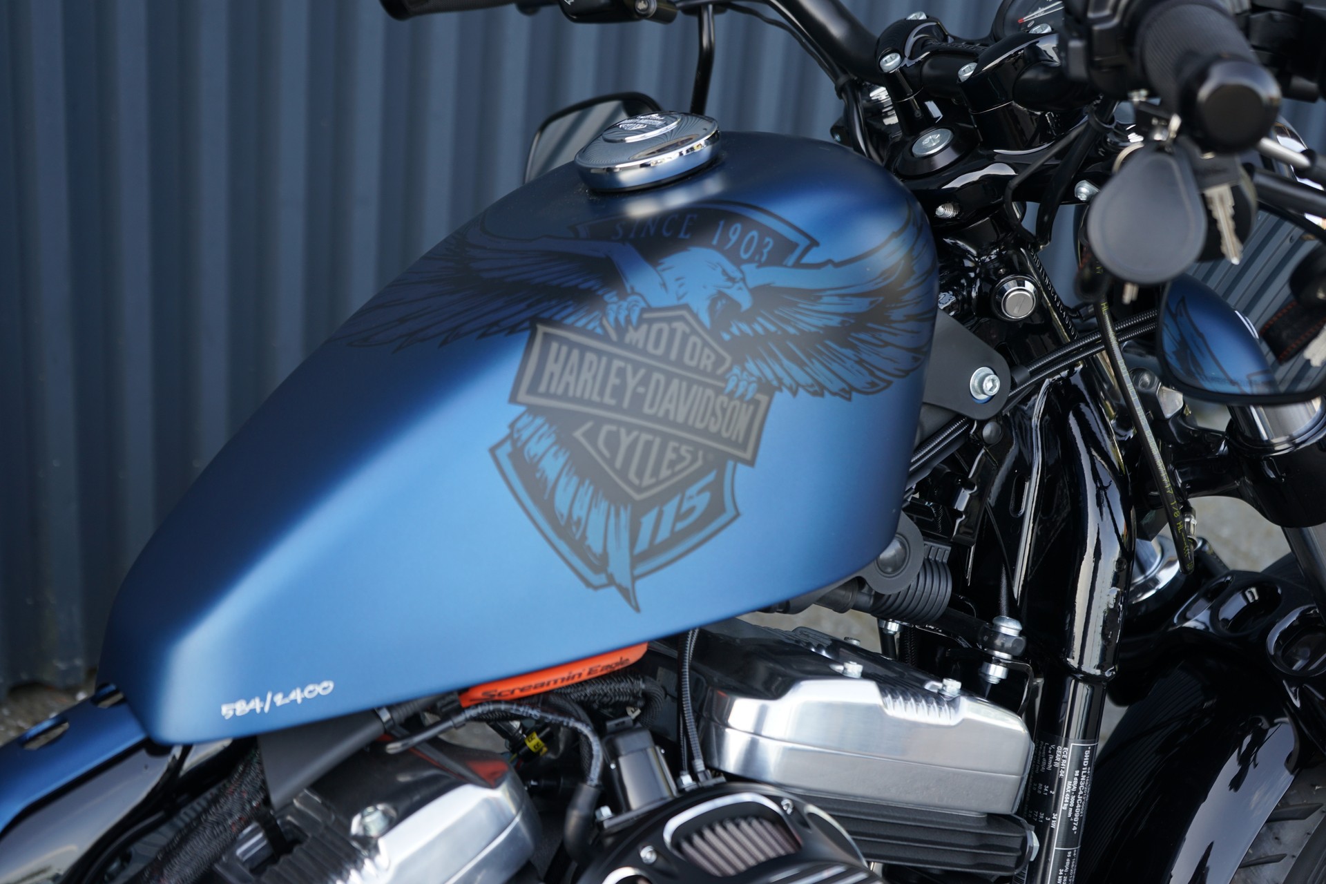HARLEY-DAVIDSON XL 1200 XANX Forty Eight Anniversary X ABS-image-5