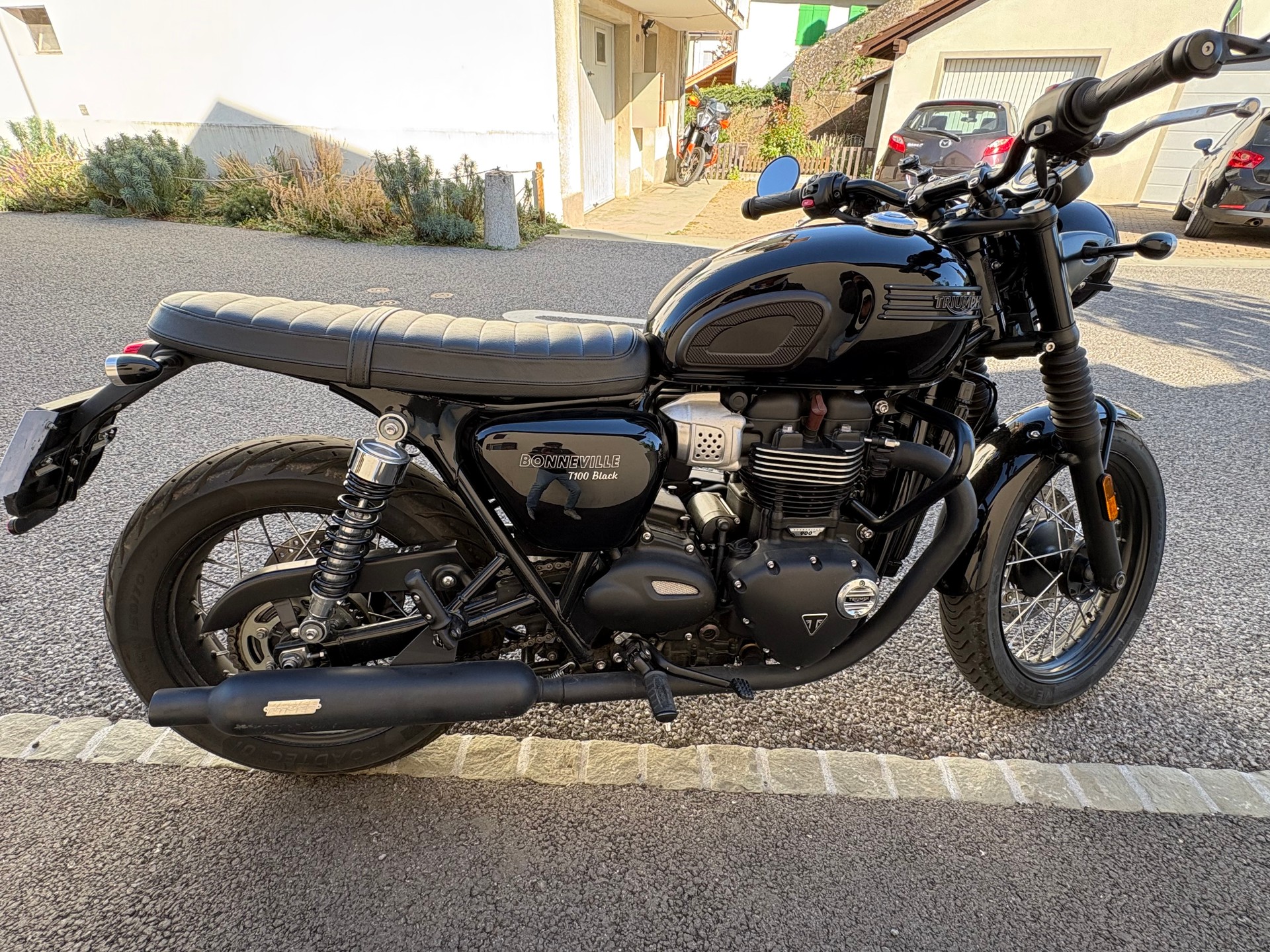 TRIUMPH T100-image-6