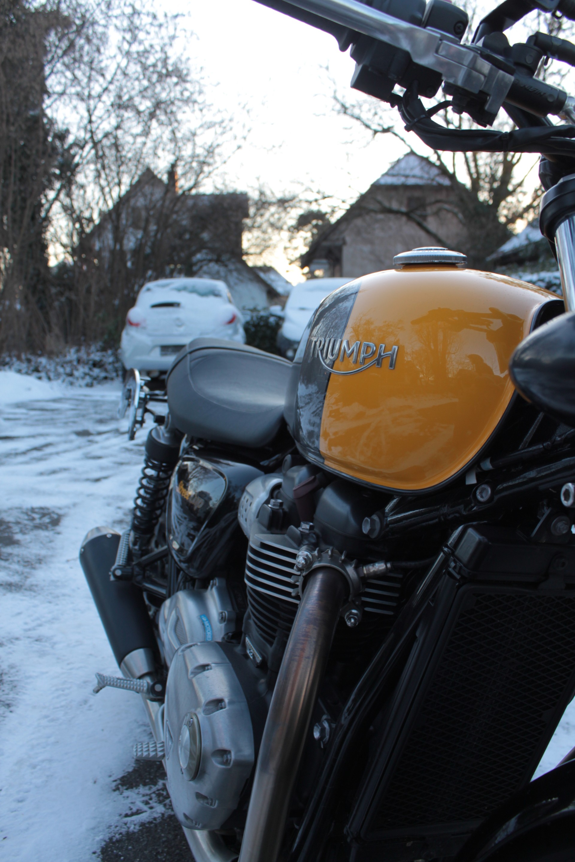TRIUMPH Street Cup-image-4