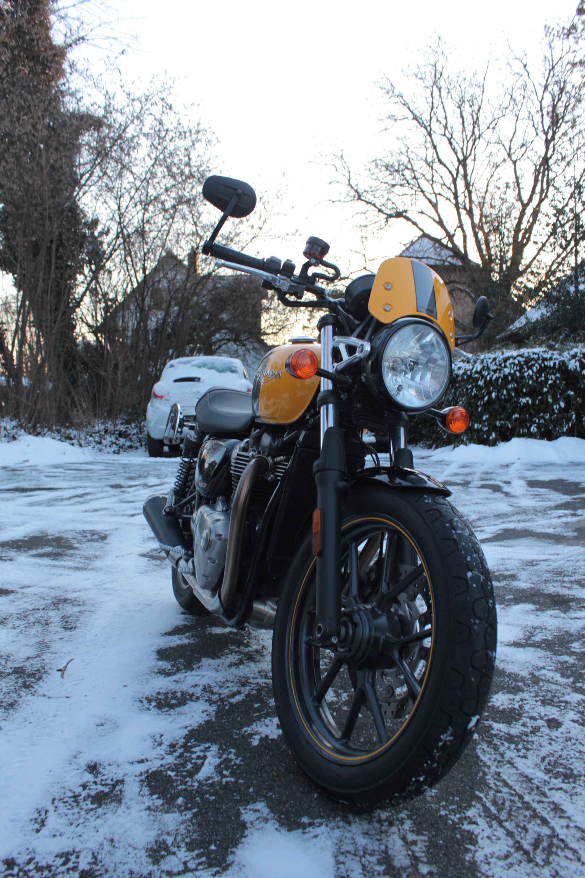 TRIUMPH Street Cup-image-2