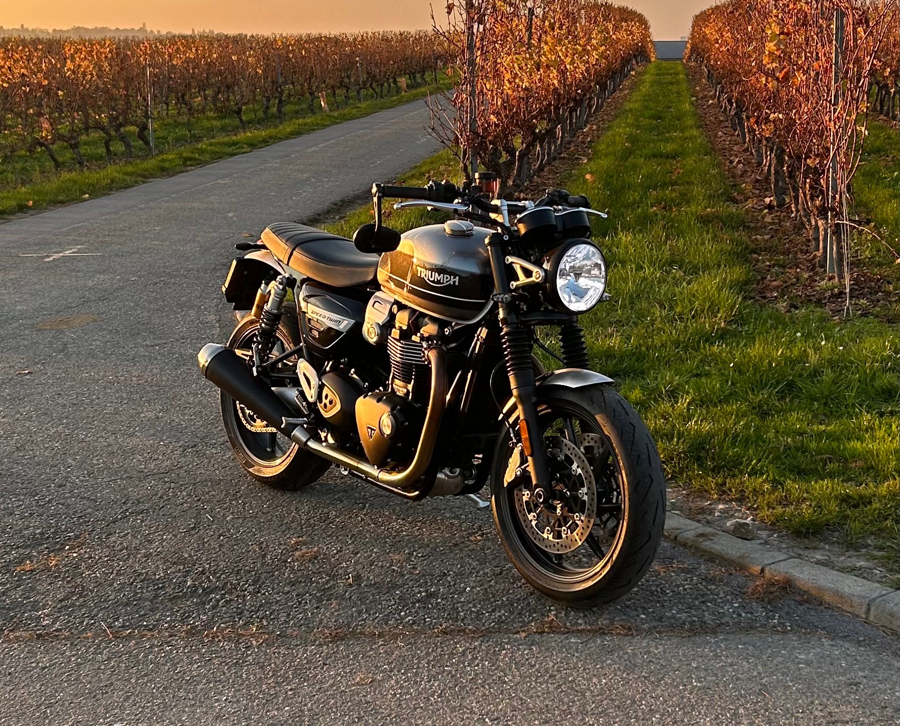 TRIUMPH Speed Twin 1200-image-0