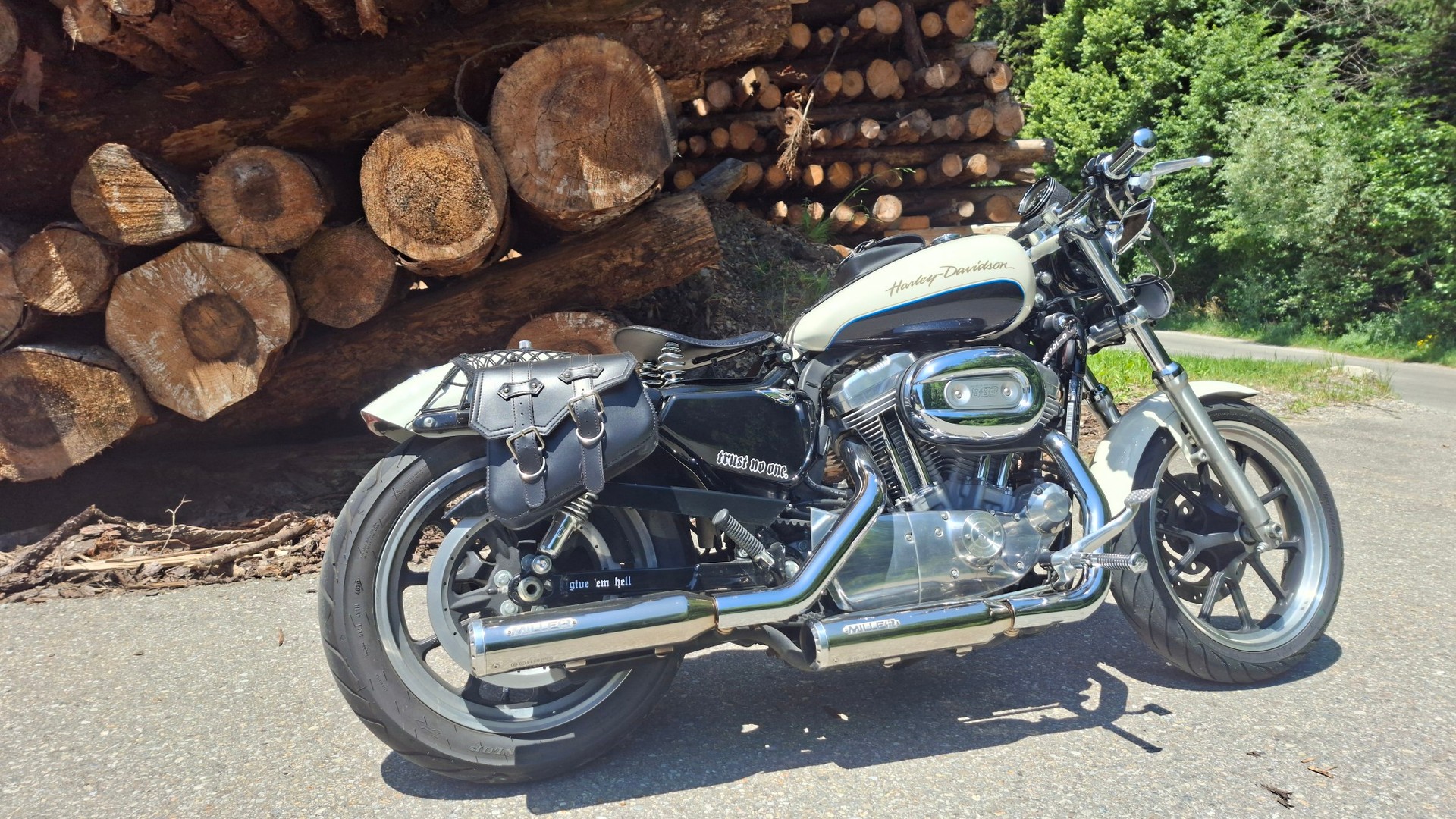 HARLEY-DAVIDSON XL 883 L Sportster Super Low-image-2