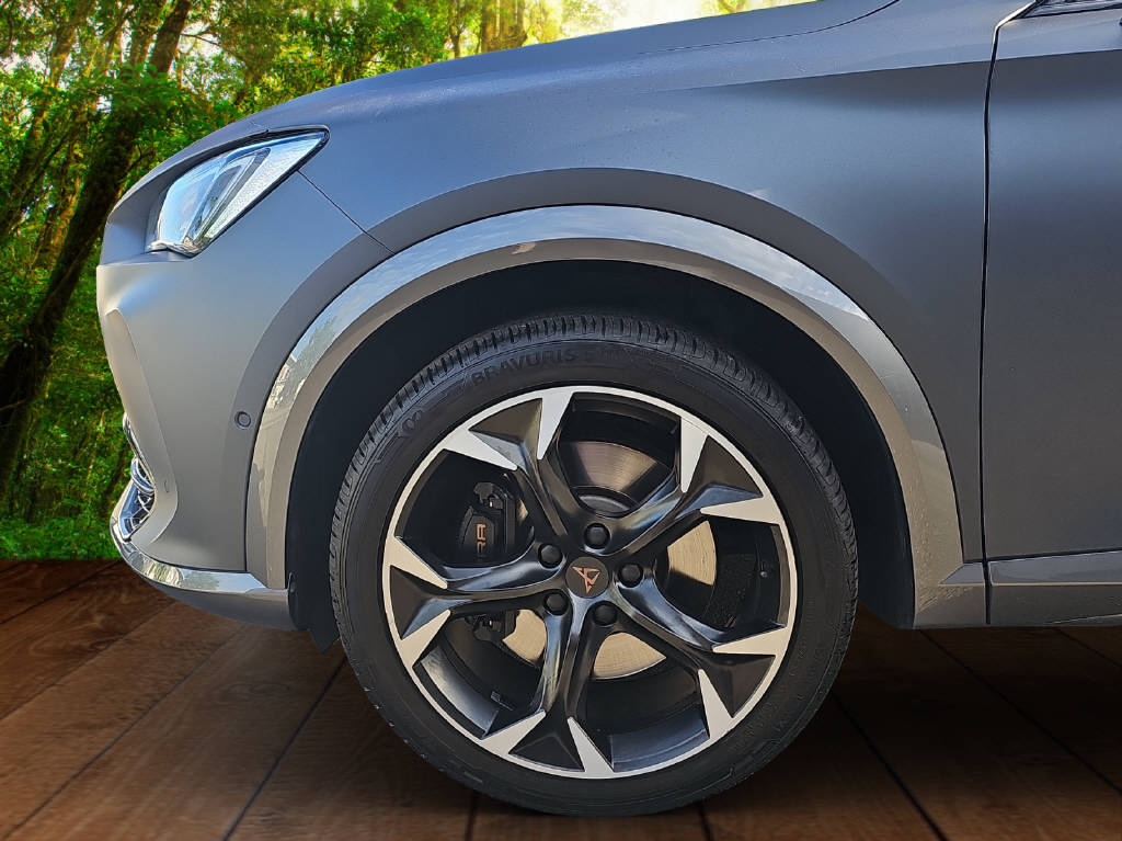 CUPRA Formentor 2.0 TSI VZ 4Drive DSG-image-10
