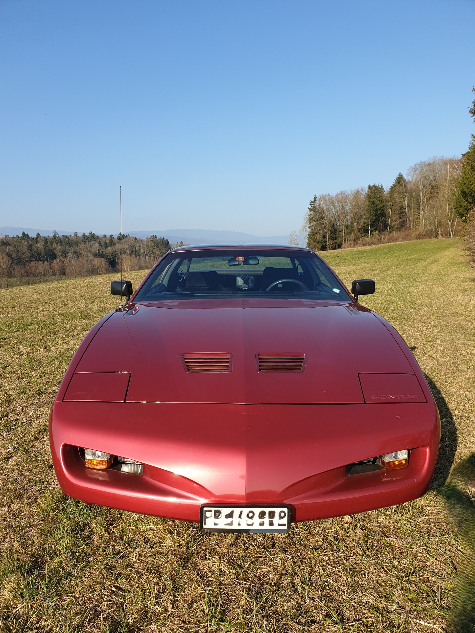 PONTIAC 5.0 V8 Trans Am