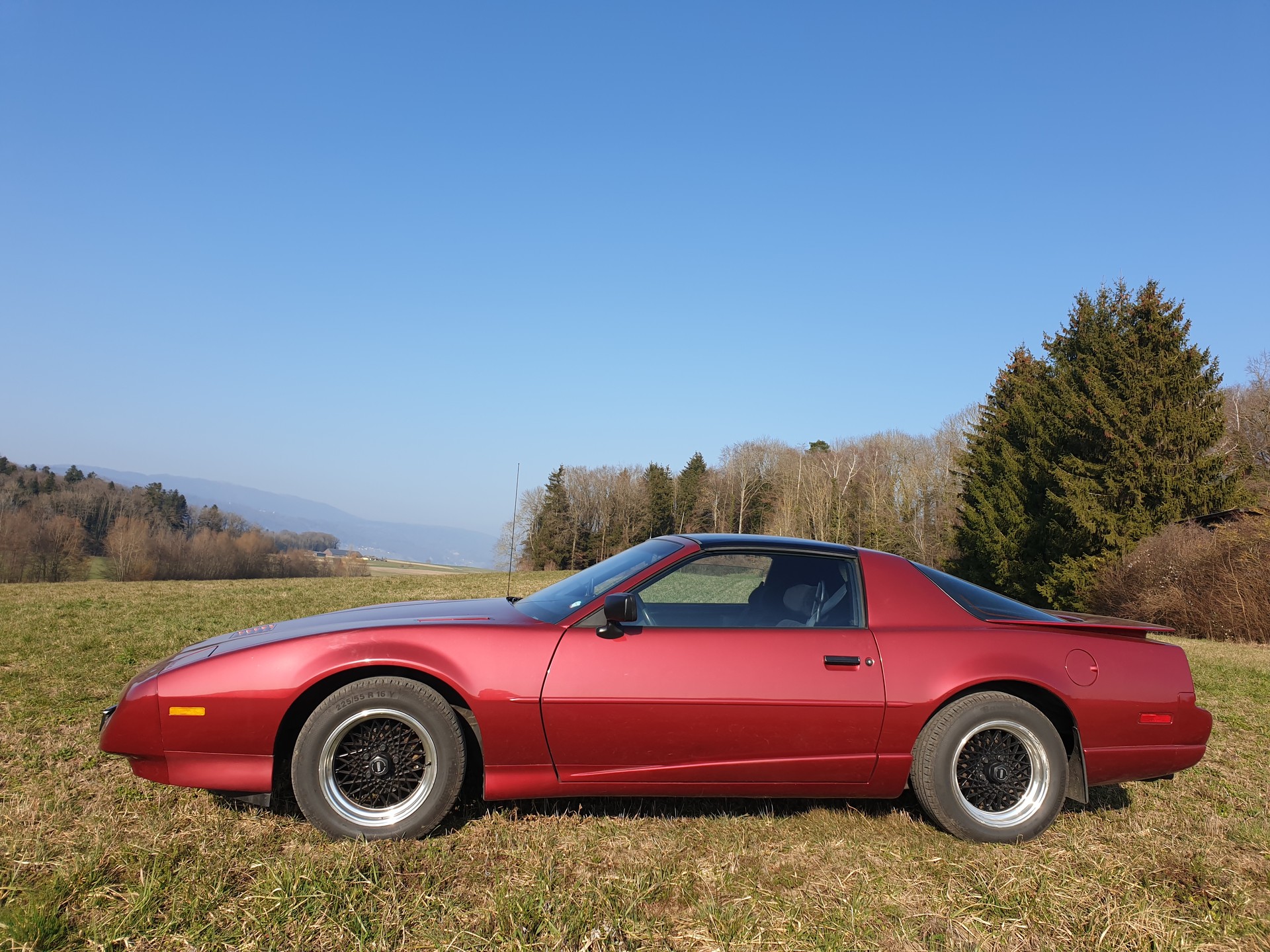 PONTIAC 5.0 V8 Trans Am-image-1