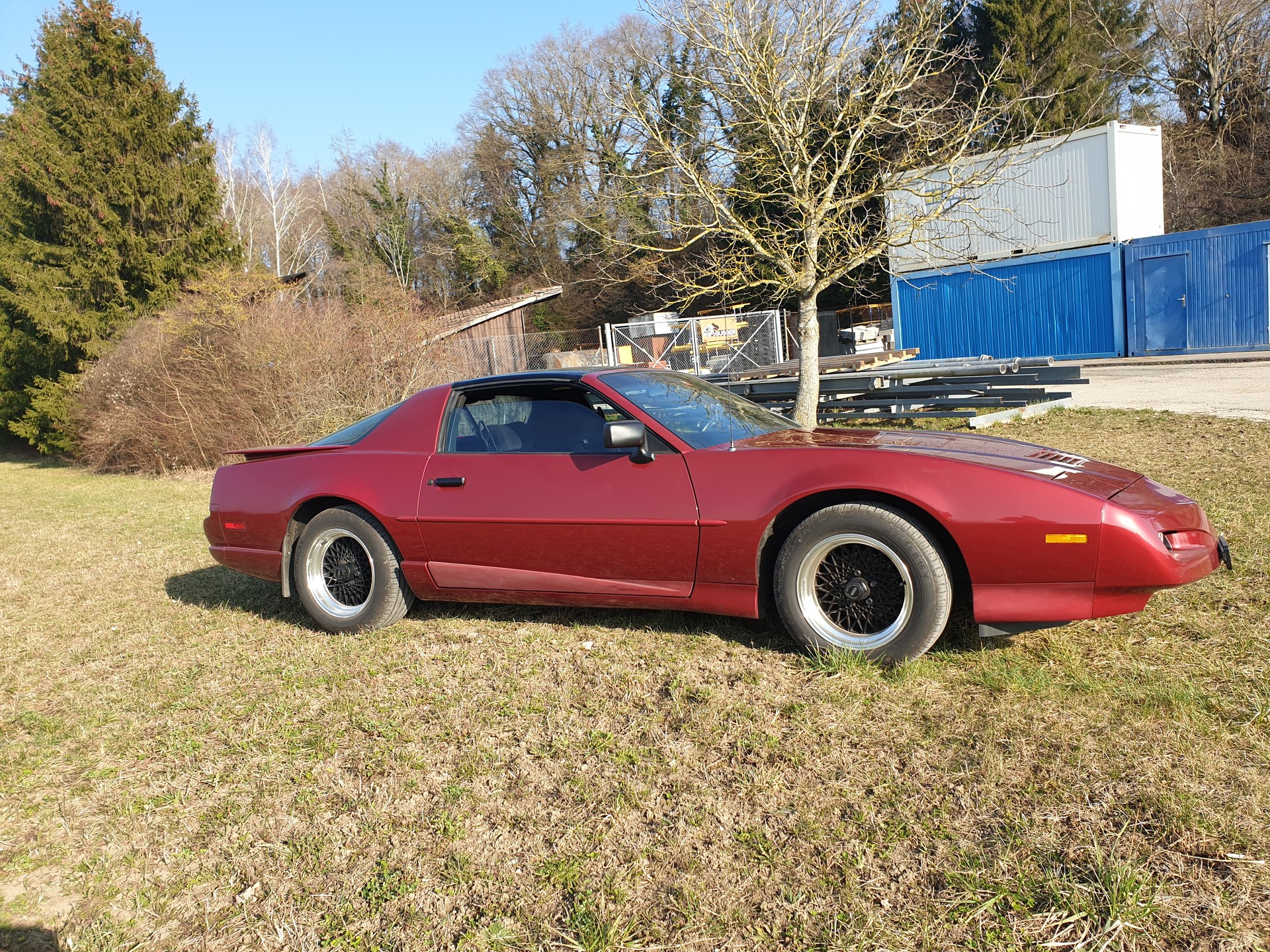 PONTIAC 5.0 V8 Trans Am-image-3