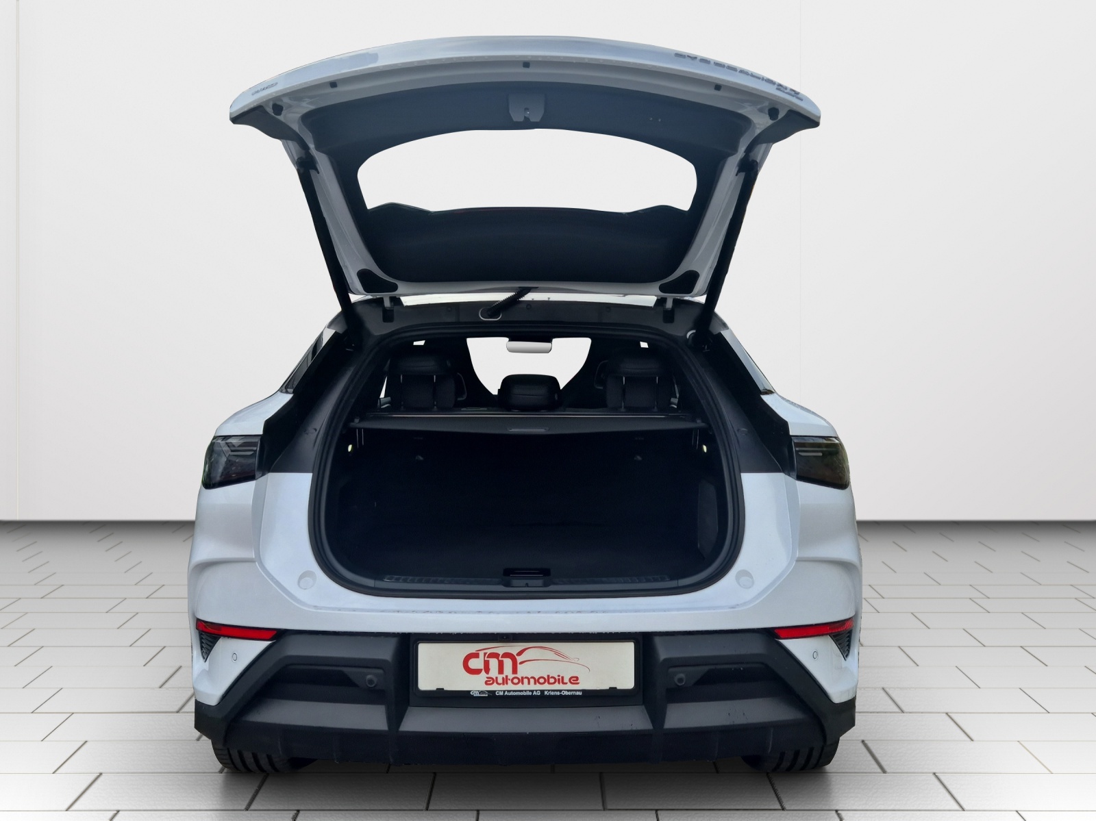 BYD Sealion 7 91,3 kWh Excellence AWD-image-17