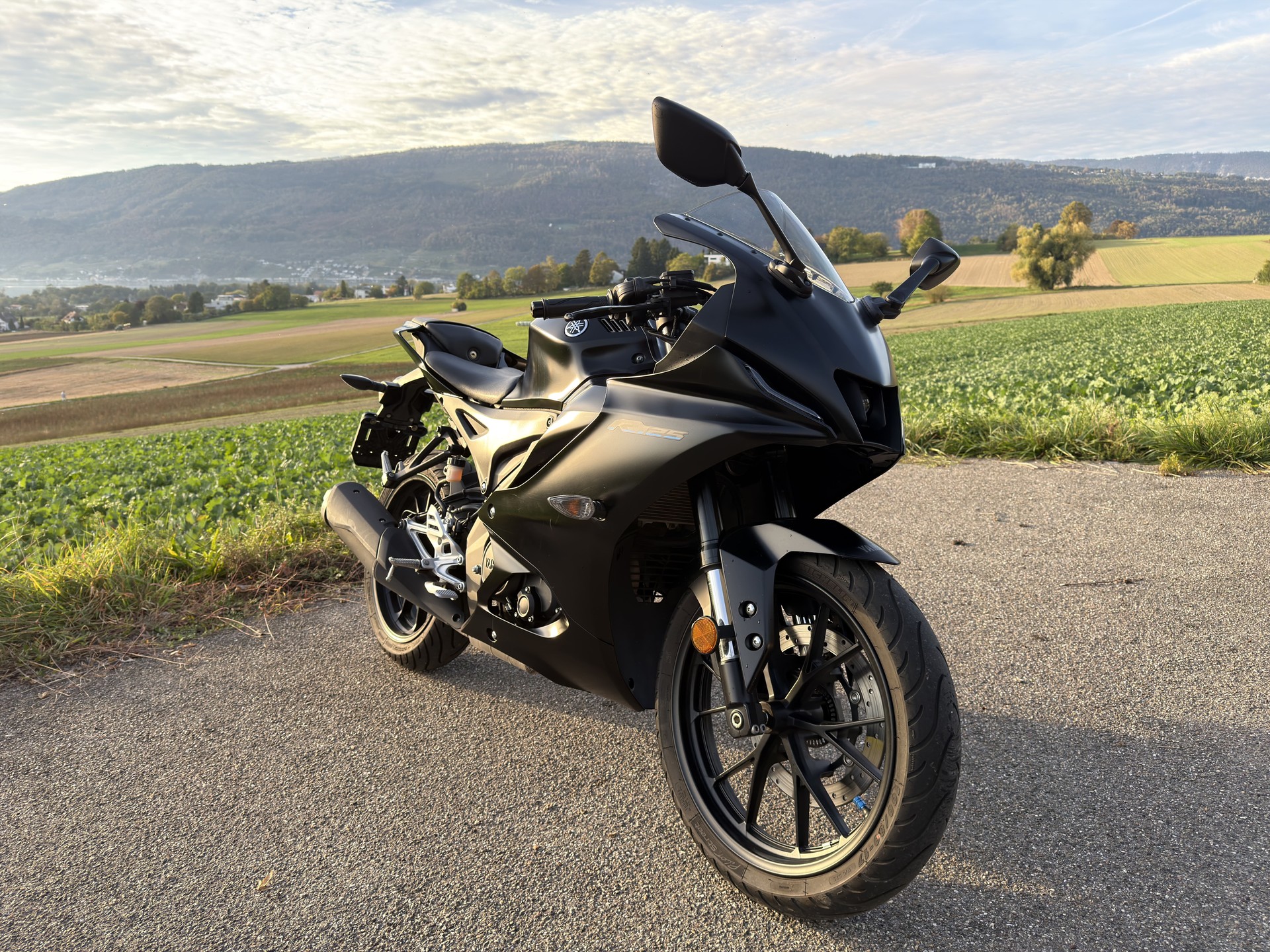 YAMAHA YZF-R 125 ABS-image-0