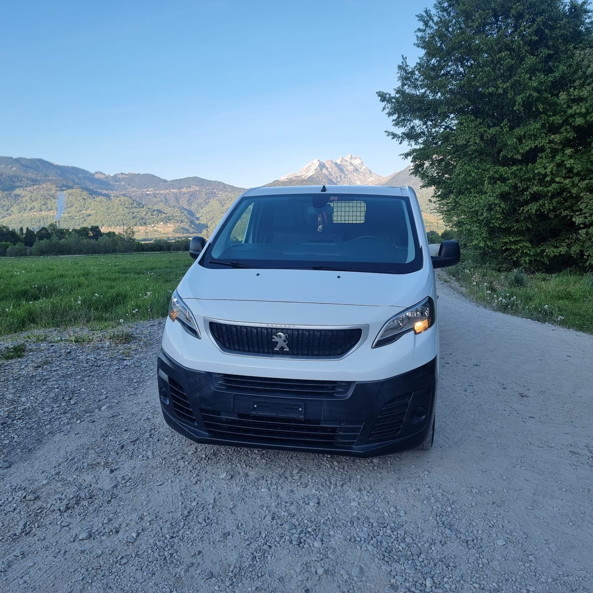 PEUGEOT EXPERT-image-1