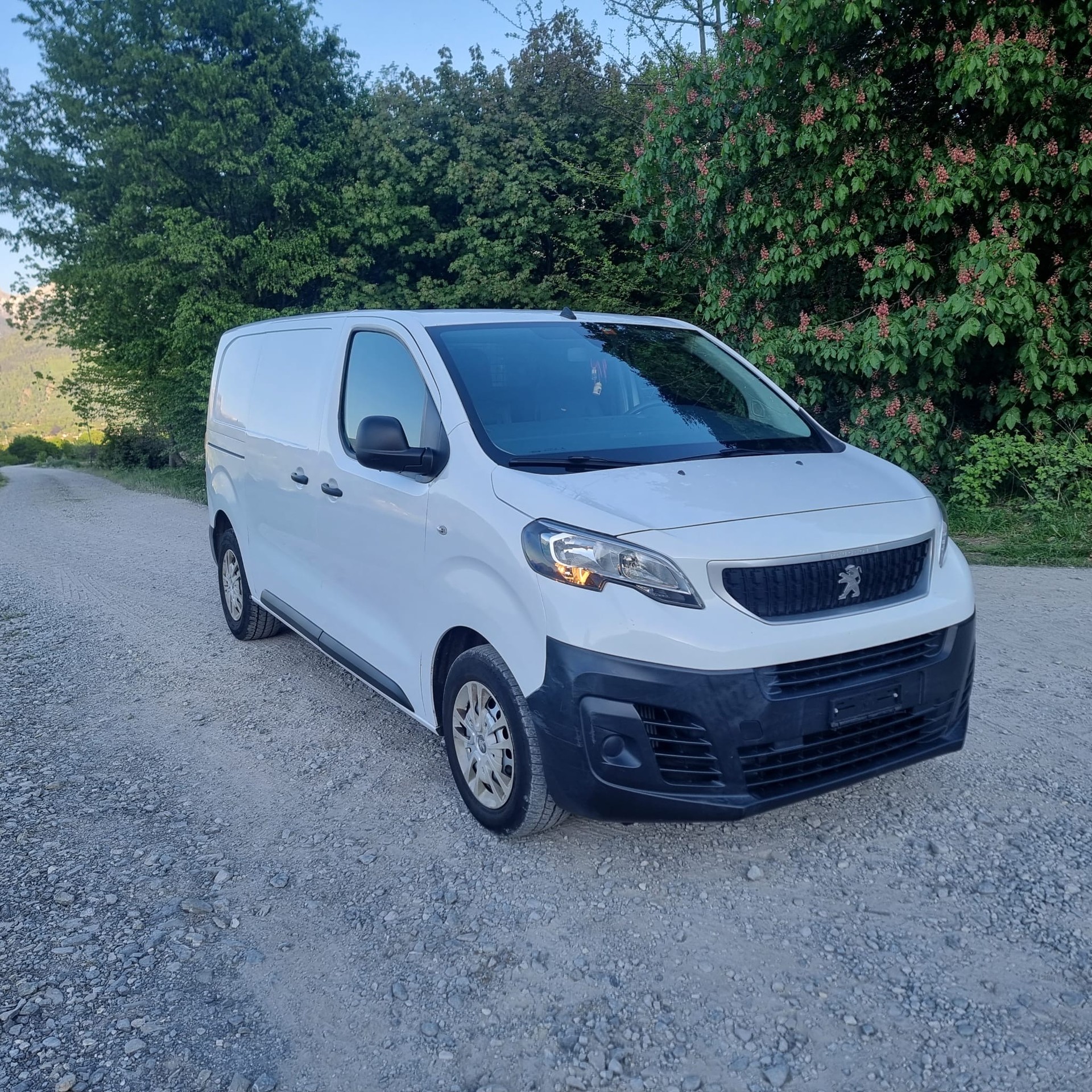 PEUGEOT EXPERT-image-2