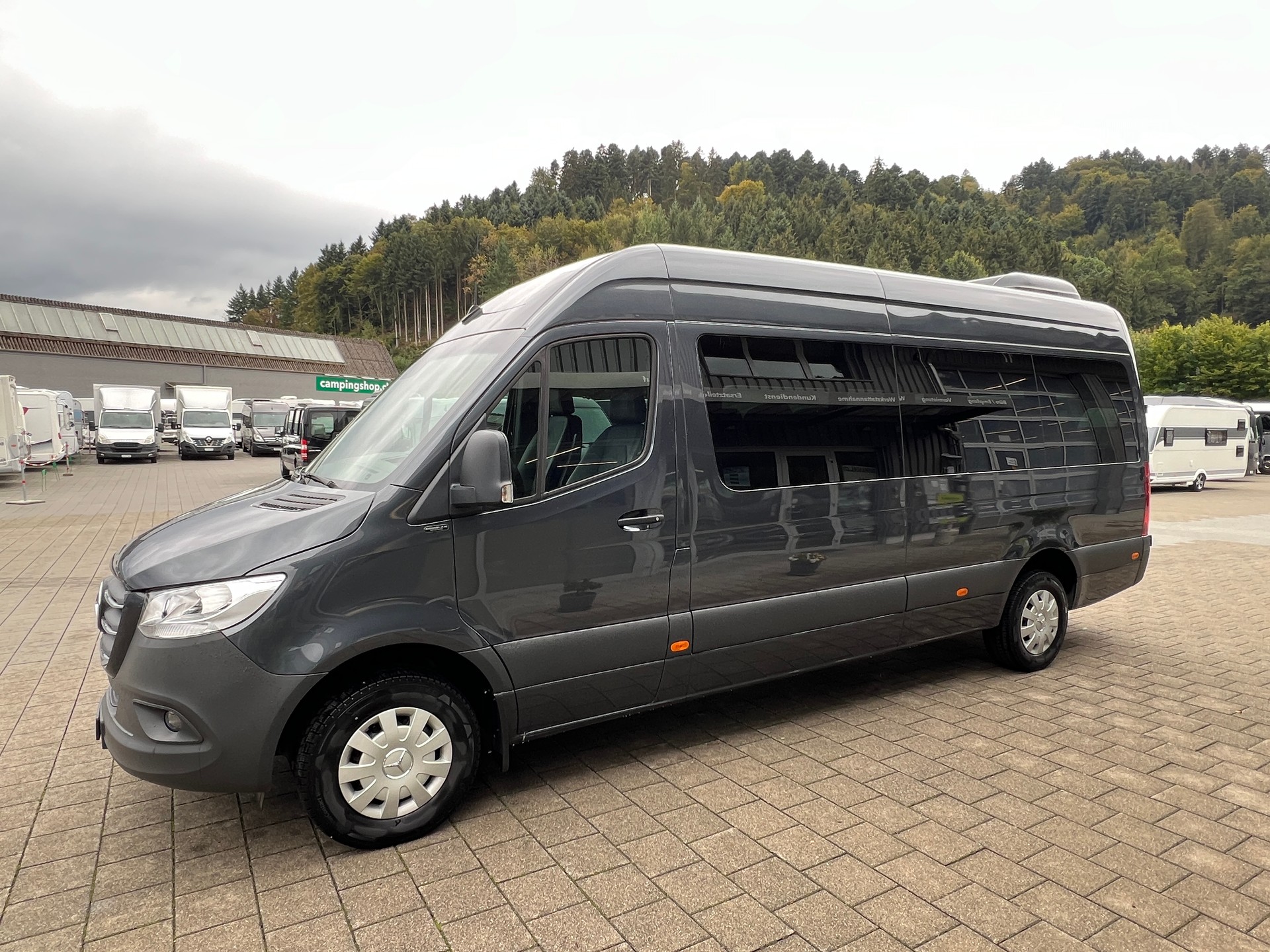 MERCEDES-BENZ 317 CDI Kleinbus (I13)-image-8
