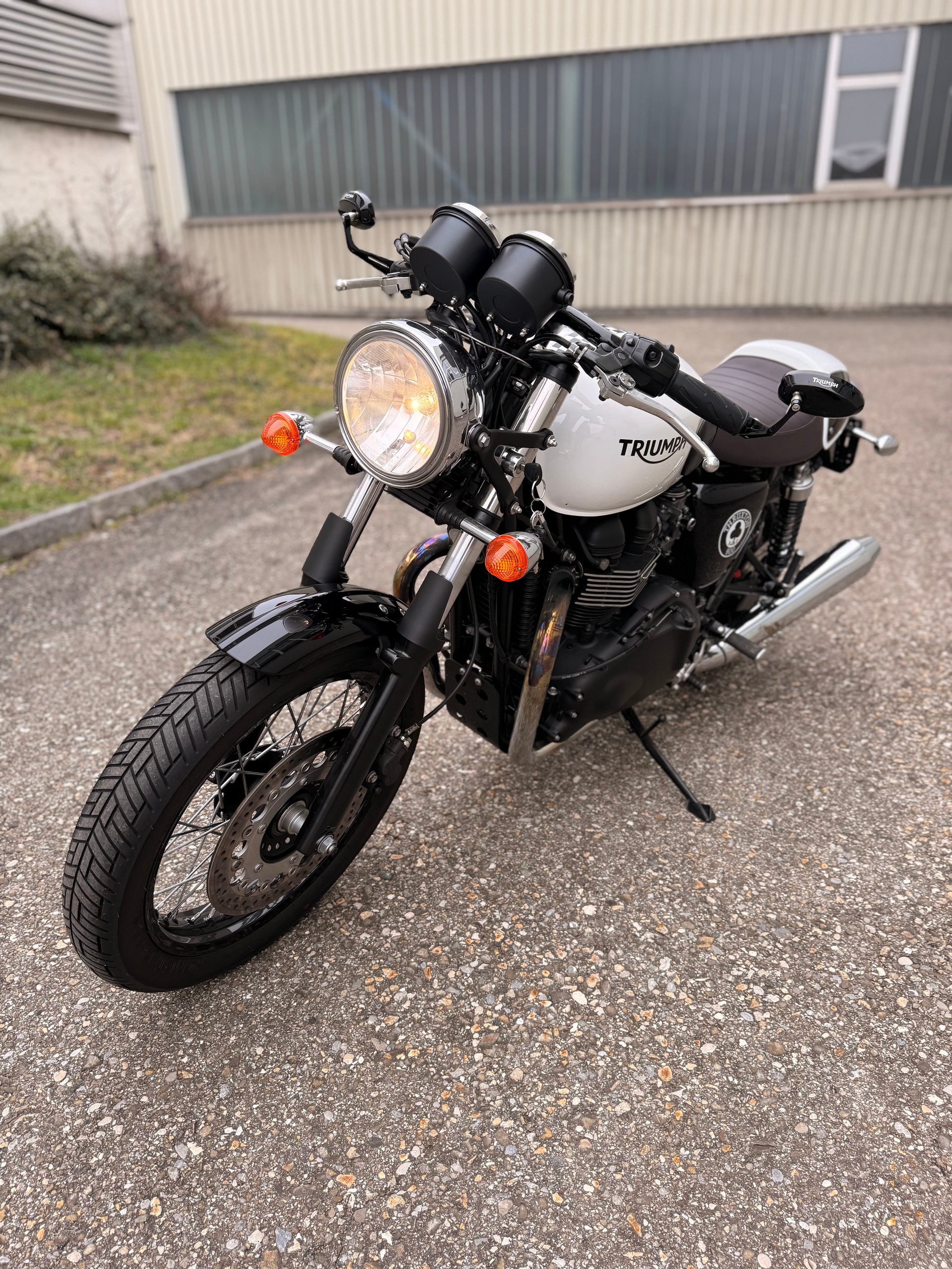 TRIUMPH Thruxton 900 i ACE-image-6