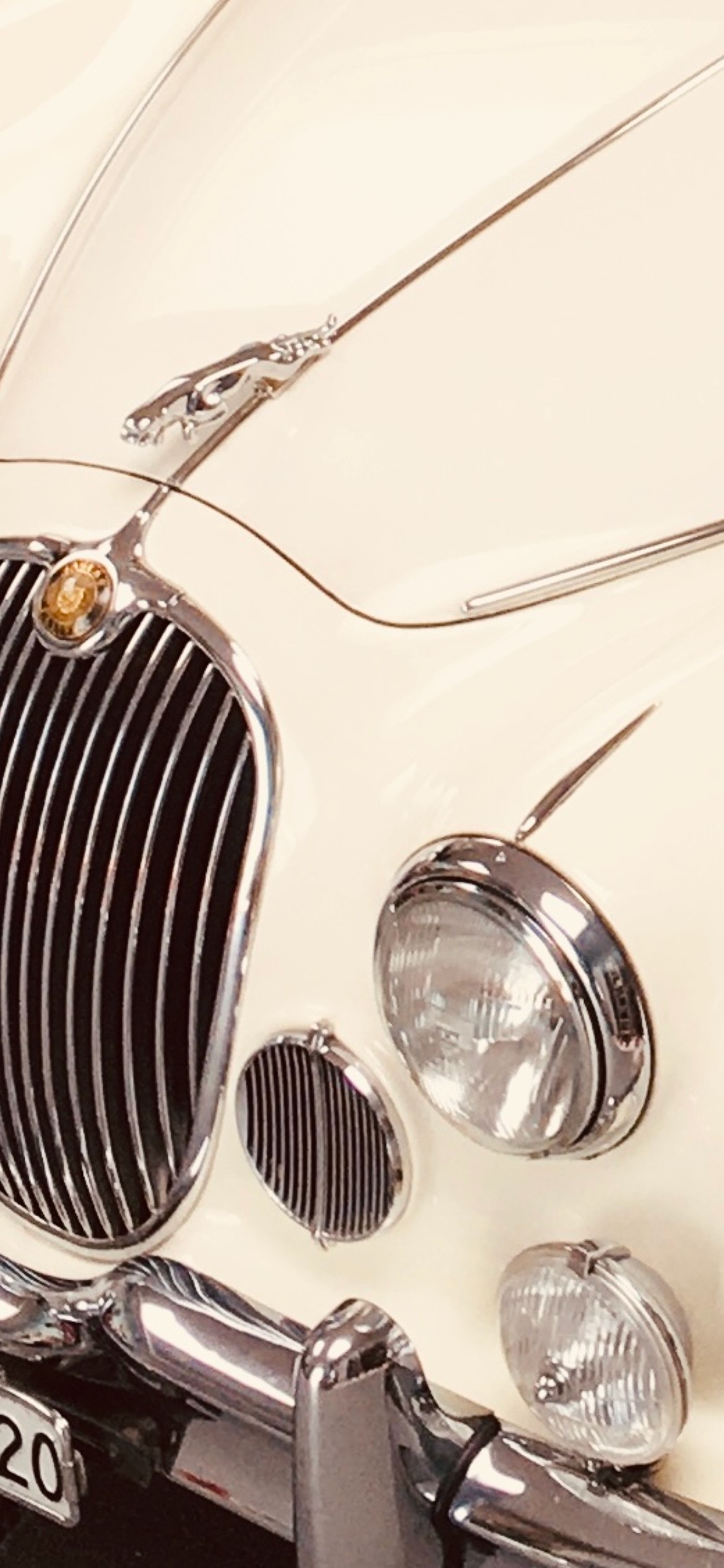 JAGUAR MK 1-image-5