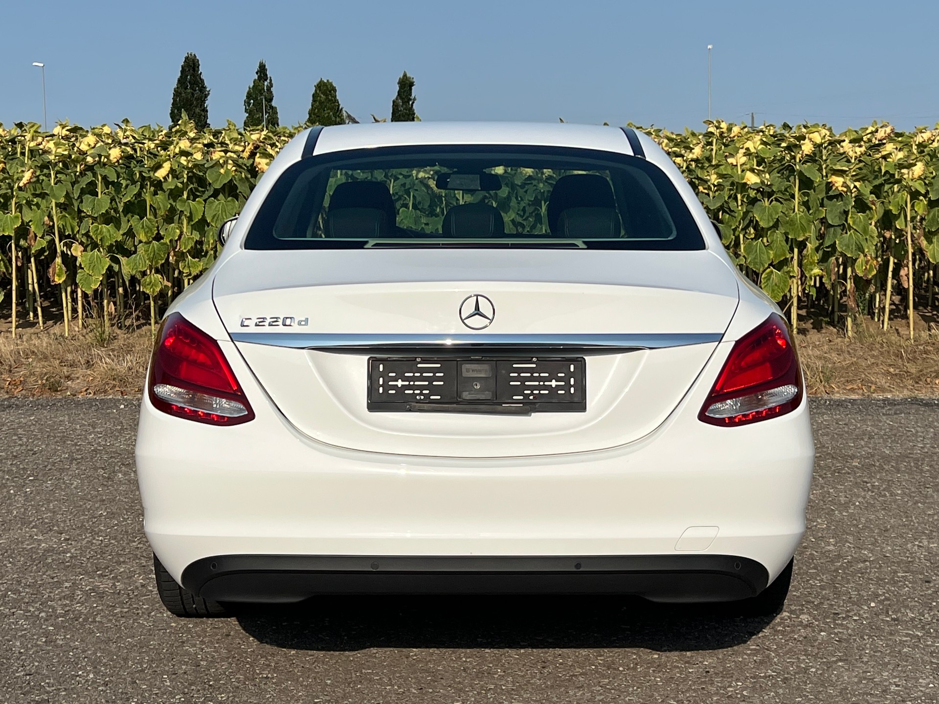 MERCEDES-BENZ C 220 BlueTEC 7G-Tronic-image-4