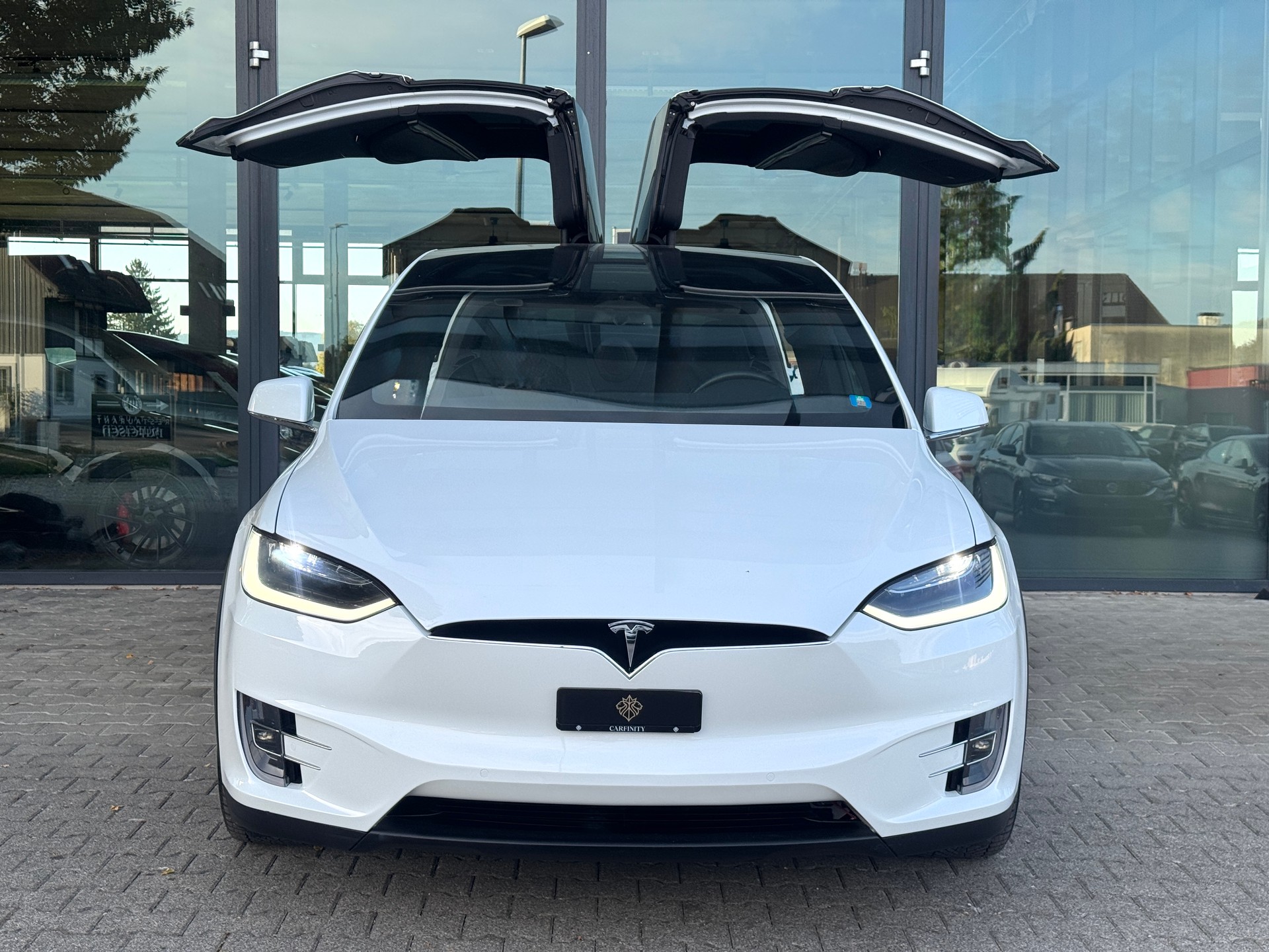 TESLA Model X 100 D / Full Self Driving / inkl. 1 Jahr Batteriegarantie-showroom-element-1