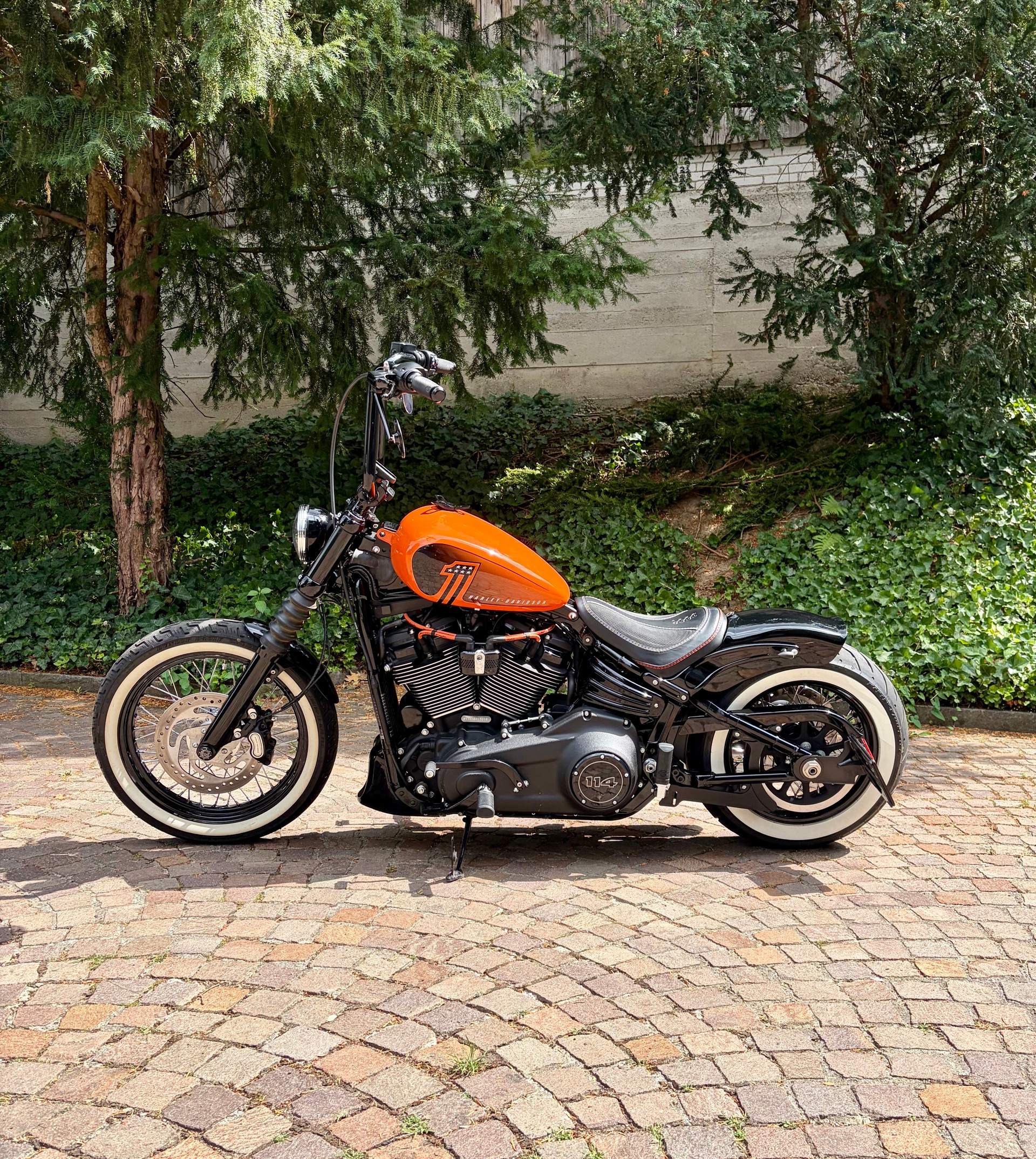 HARLEY-DAVIDSON FXBBS Street Bob 114-image-2