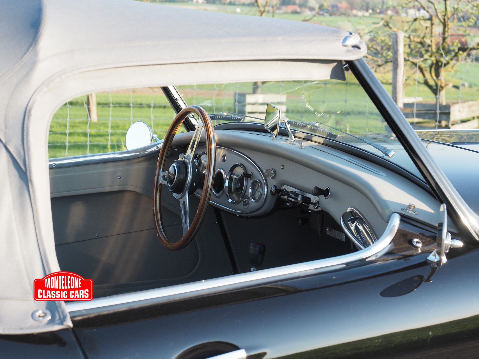 AUSTIN-HEALEY BN 6-image-6