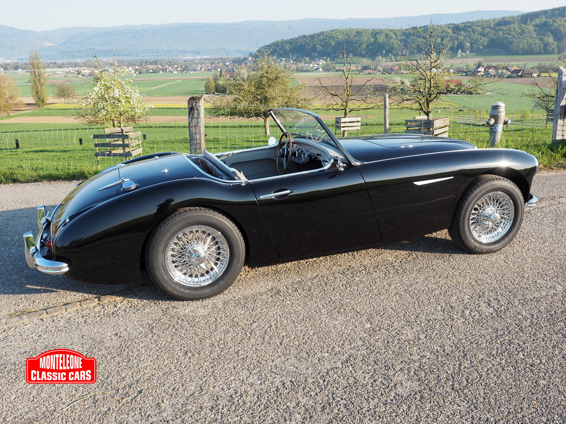 AUSTIN-HEALEY BN 6