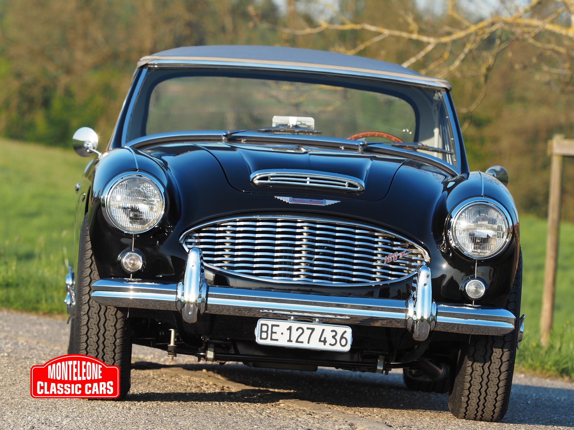 AUSTIN-HEALEY BN 6-image-12