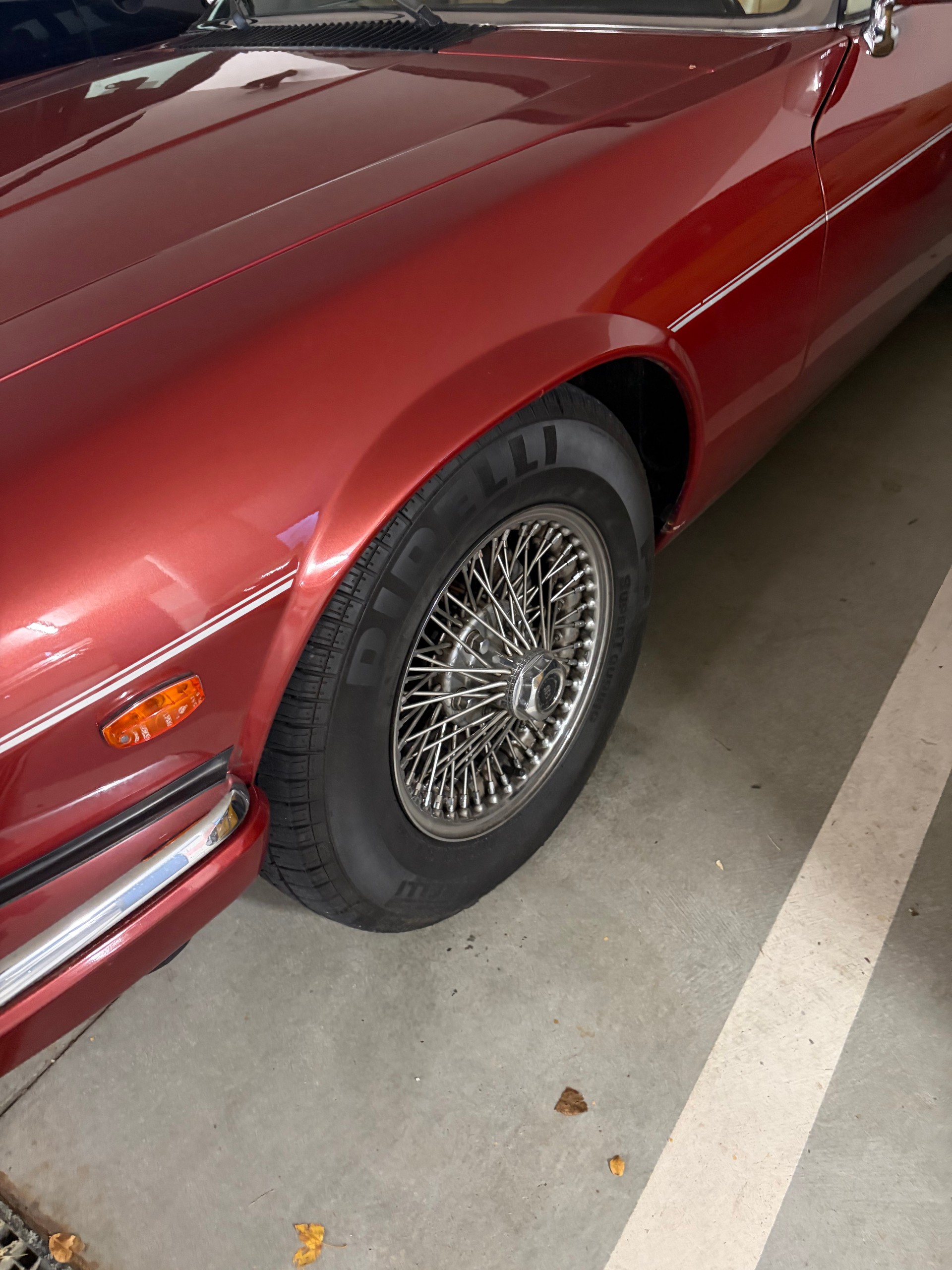 JAGUAR 5.3 H.E.-image-13
