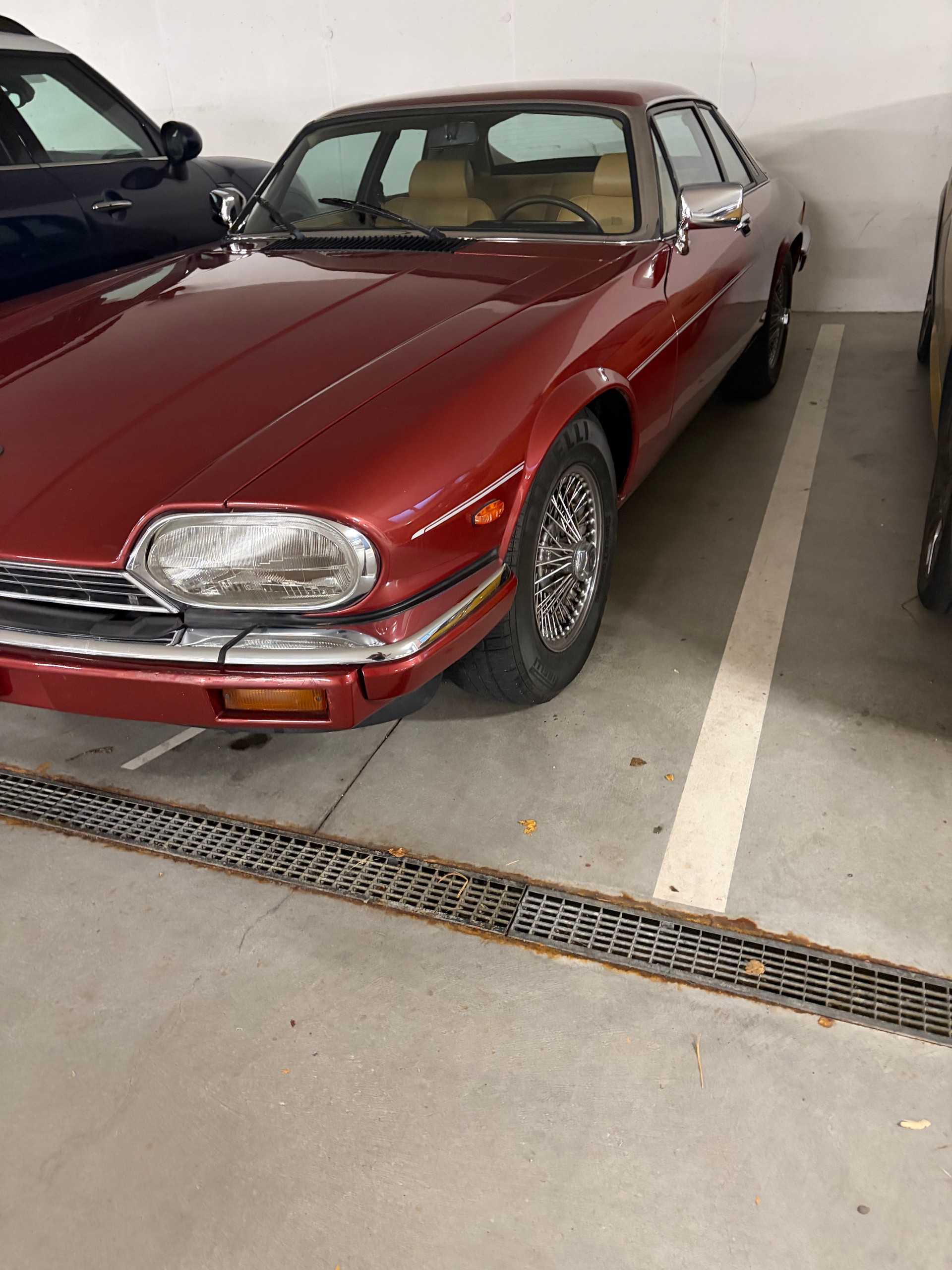 JAGUAR 5.3 H.E.-image-12