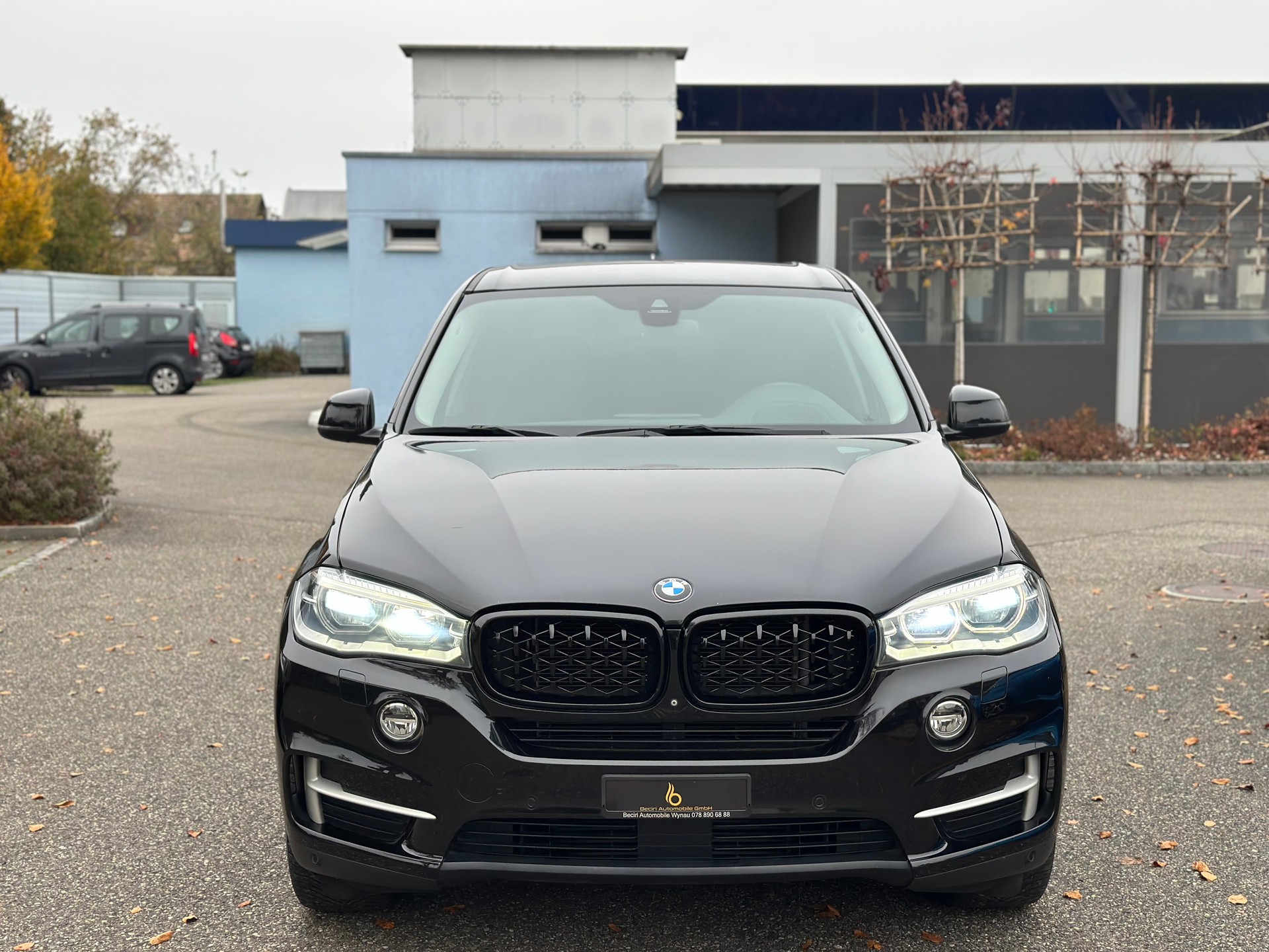 BMW X5 xDrive 30d Steptronic-image-1
