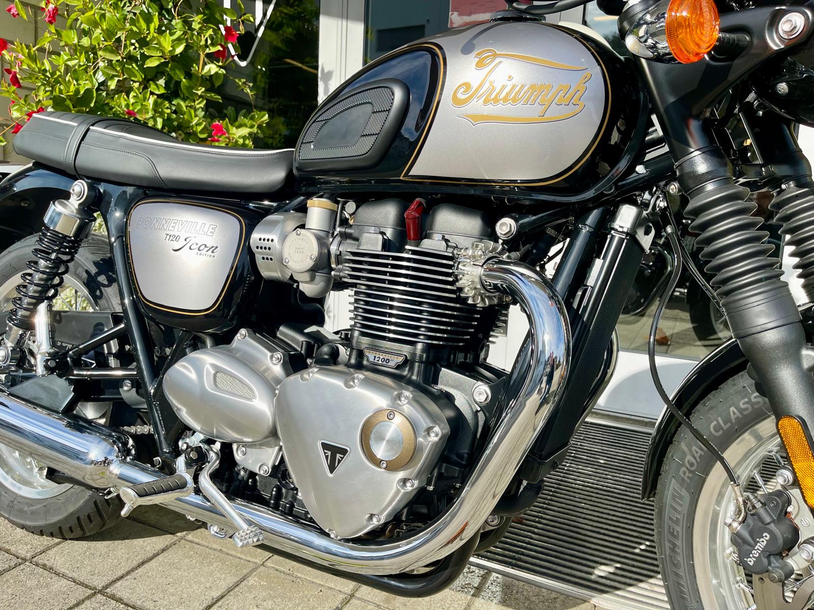 TRIUMPH Bonneville T120 Icon Edition-image-12