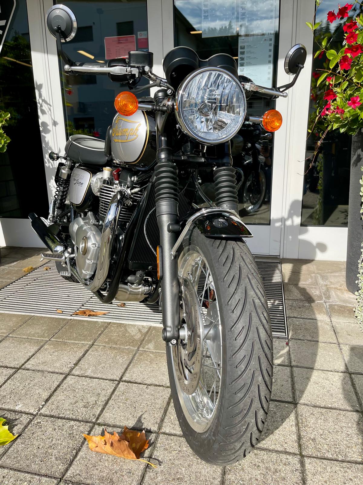 TRIUMPH Bonneville T120 Icon Edition-image-11