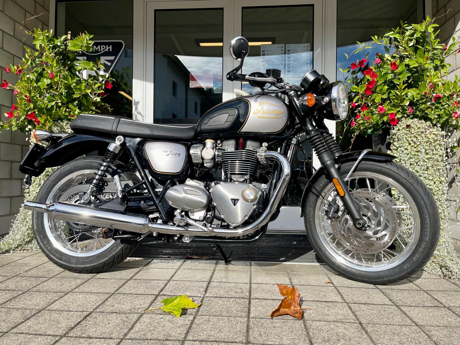 TRIUMPH Bonneville T120 Icon Edition-image-8