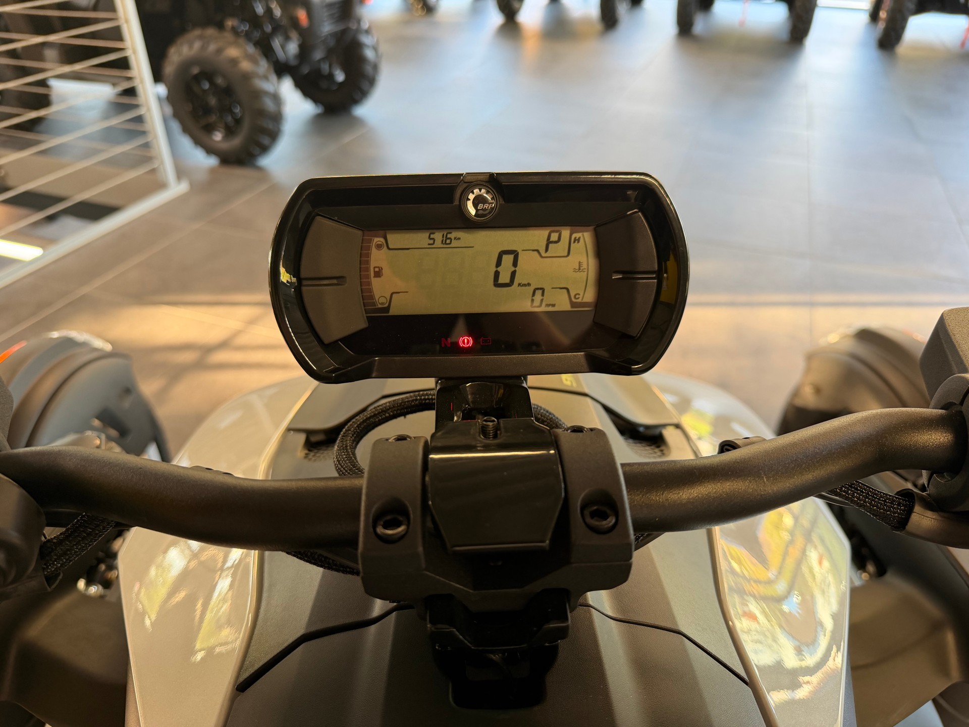 CAN-AM Ryker Ace 900 Rally-image-3
