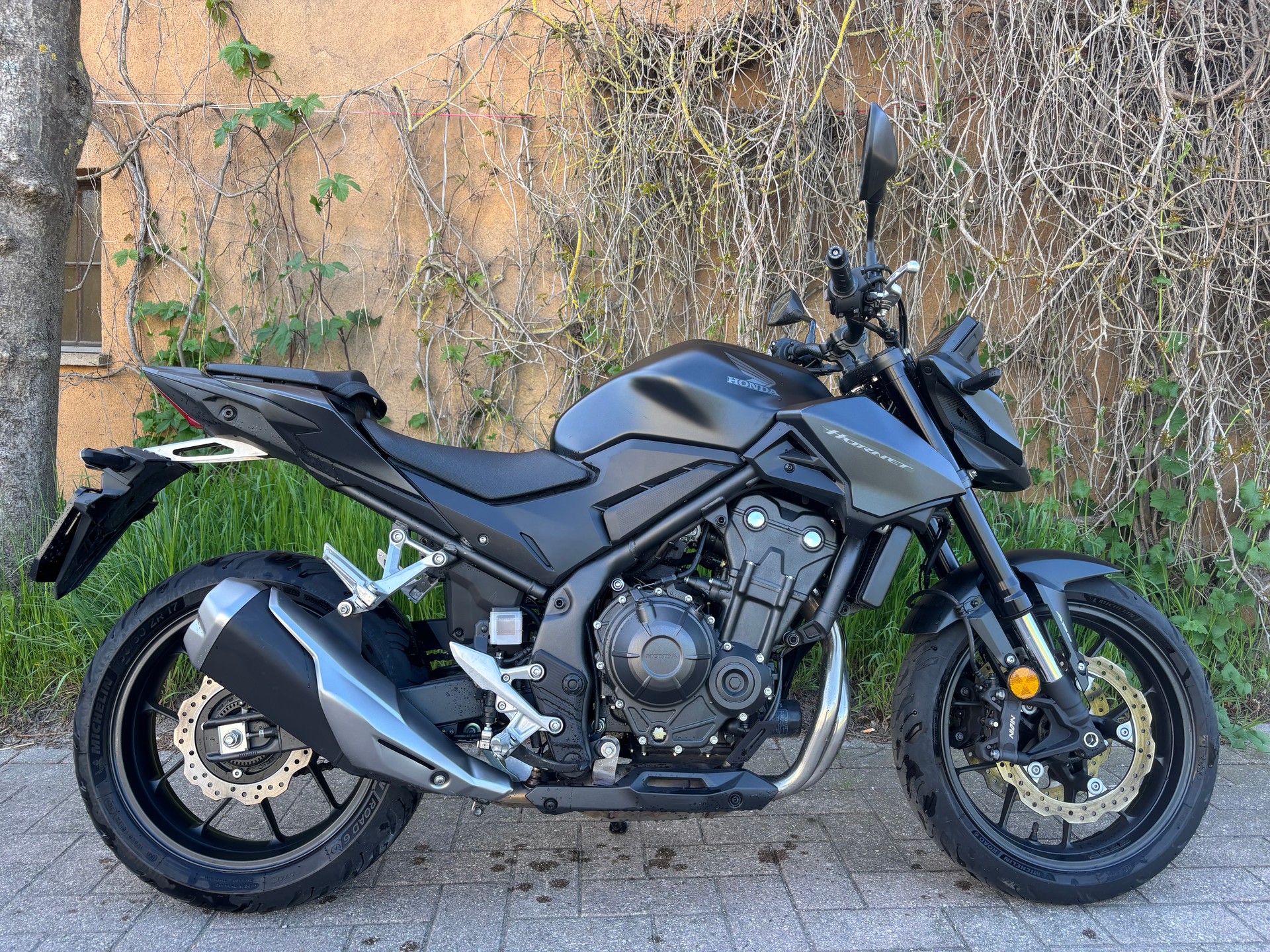 HONDA CB 500 Hornet-image-1