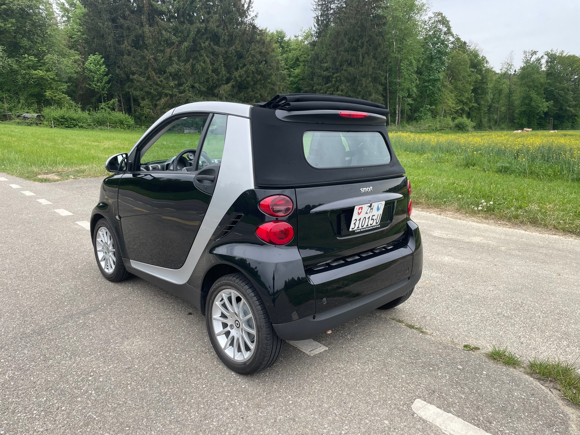 SMART fortwo pulse softouch-image-3