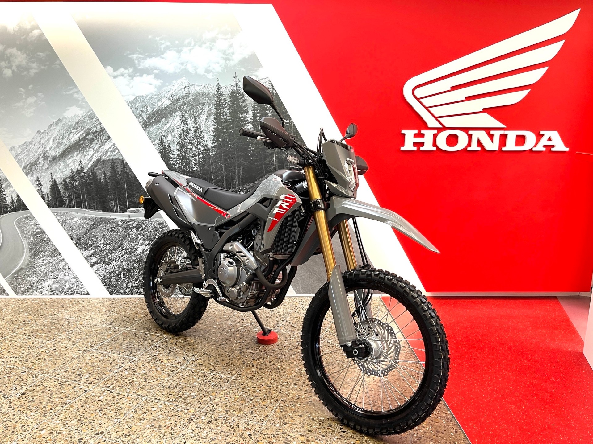 HONDA CRF300LA-image-2