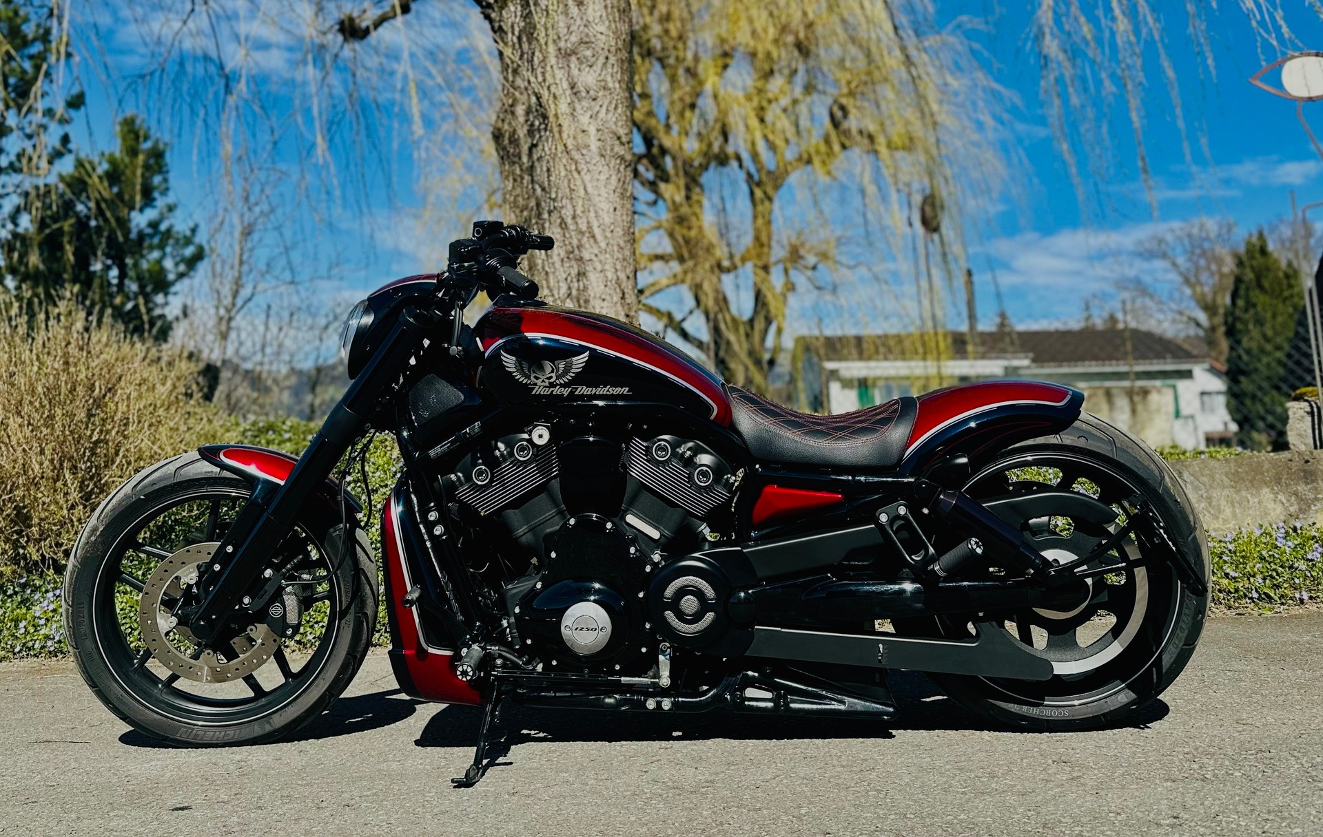 HARLEY-DAVIDSON VRSCDX Night Rod Special ABS-image-4