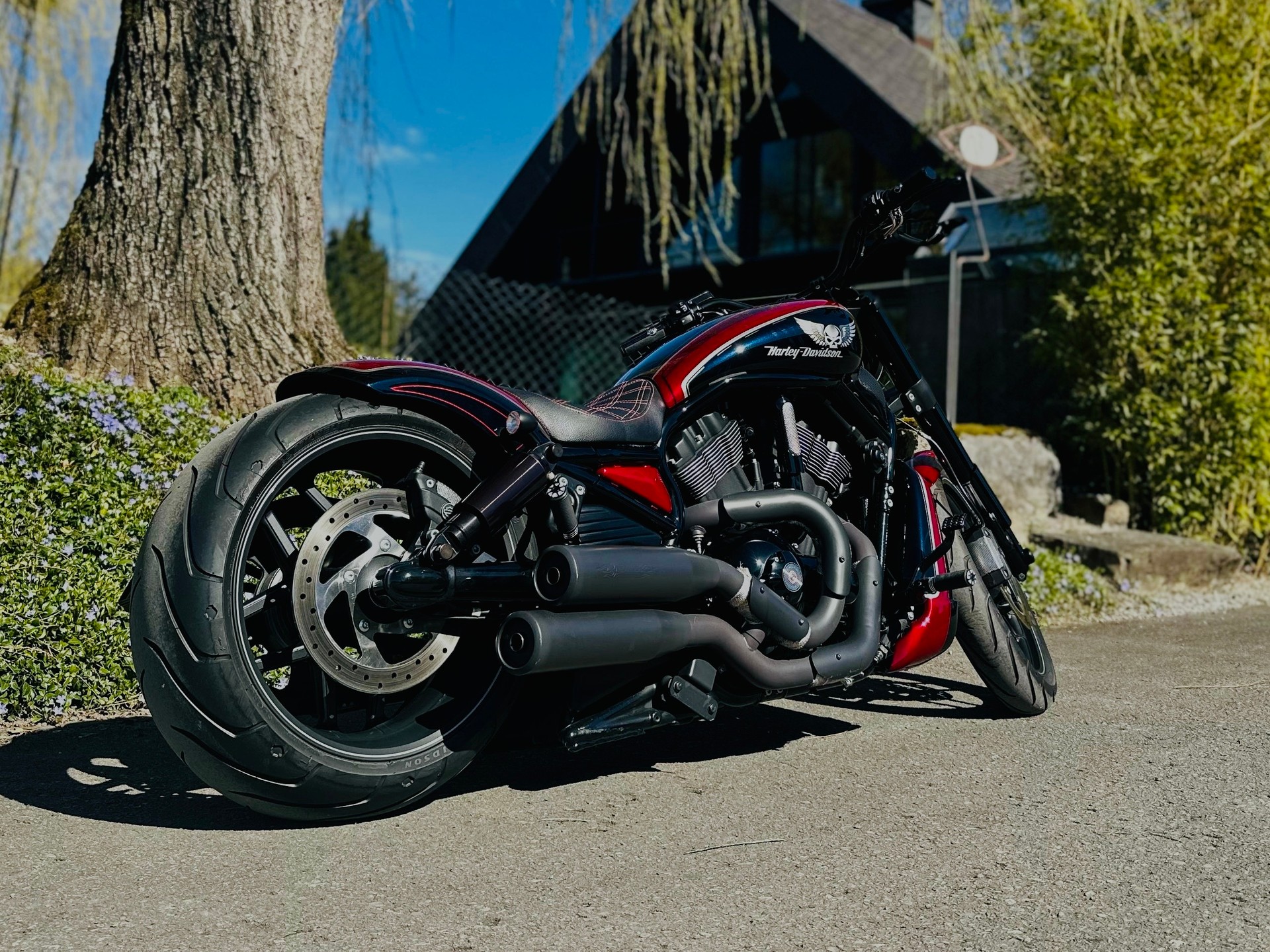 HARLEY-DAVIDSON VRSCDX Night Rod Special ABS-image-8