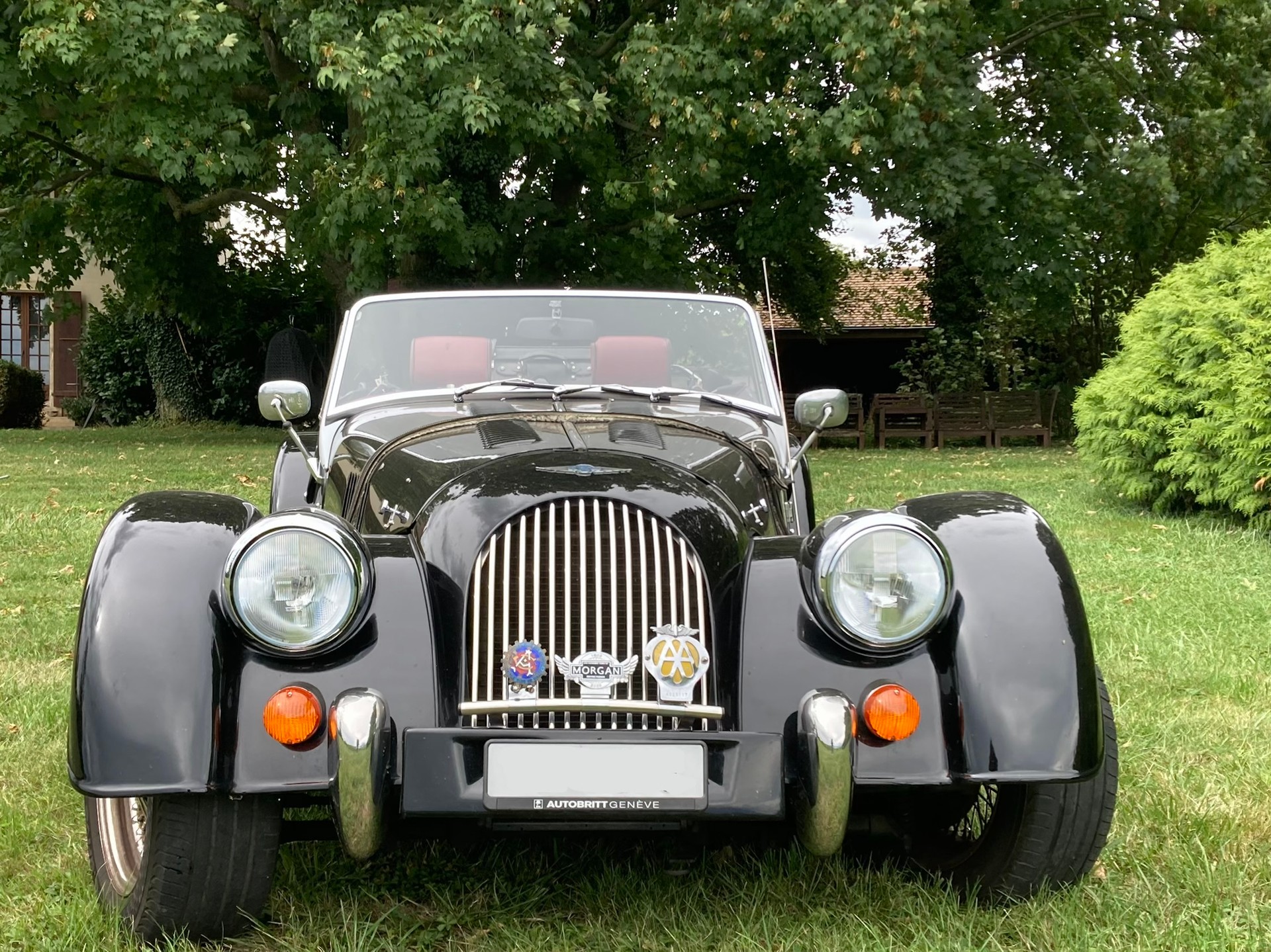 MORGAN 2l-image-2