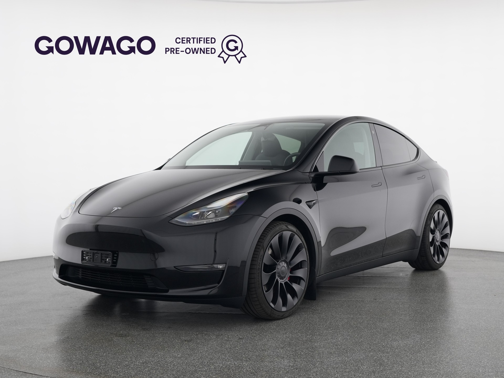 TESLA Model Y Performance